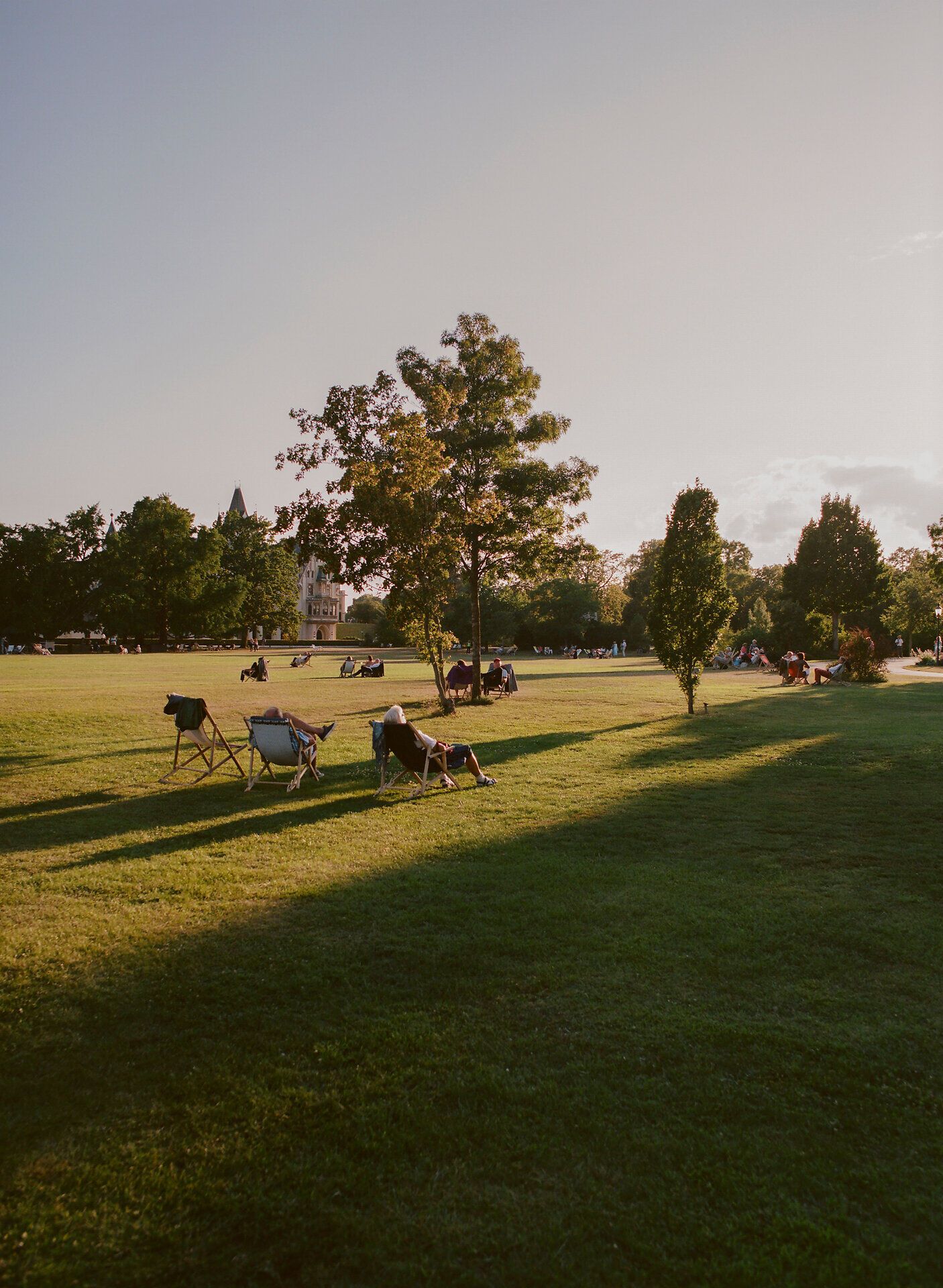 Menschen entspannen auf Liegestühlen im weitläufigen Schlosspark Grafenegg, umgeben von grünen Wiesen und Bäumen im warmen Abendlicht.