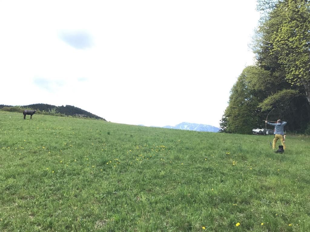 Person schießt mit einem Bogen auf ein Ziel auf einer Wiese.
