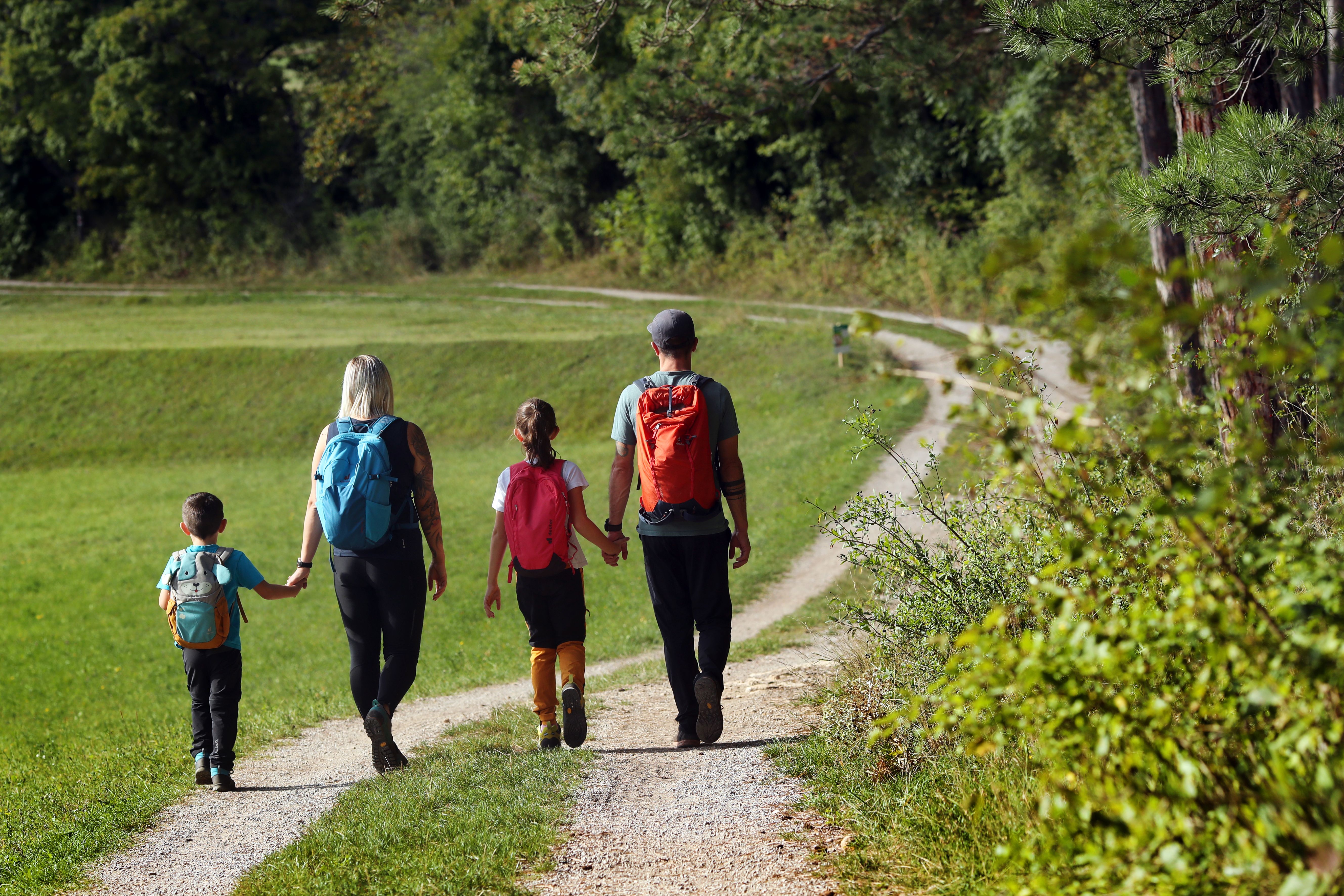 Eine Familie wandert auf einem Pfad durch eine grüne Landschaft.