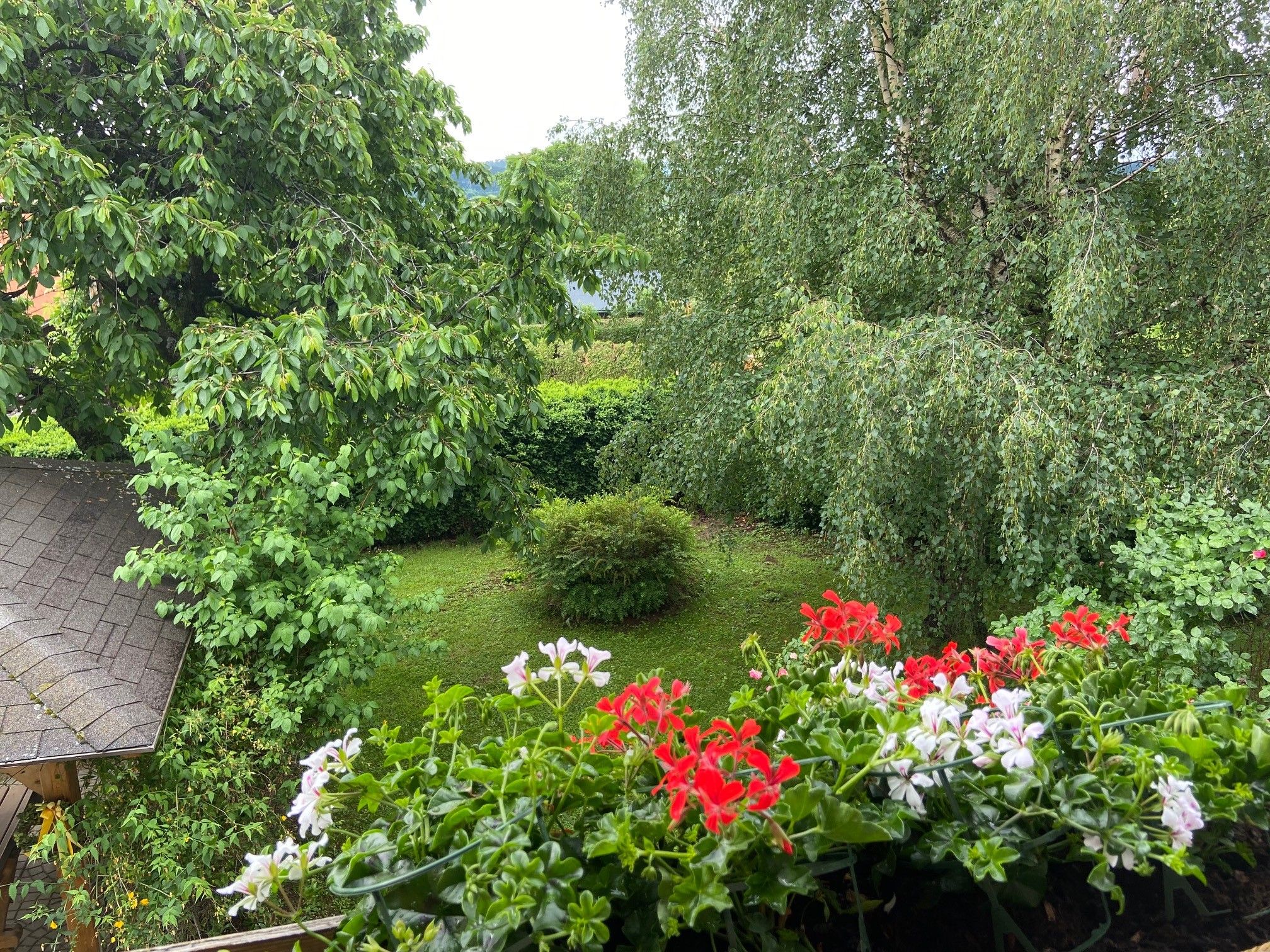 Blick vom Balkon auf einen grünen Garten mit Bäumen und roten sowie weißen Blumen im Vordergrund.