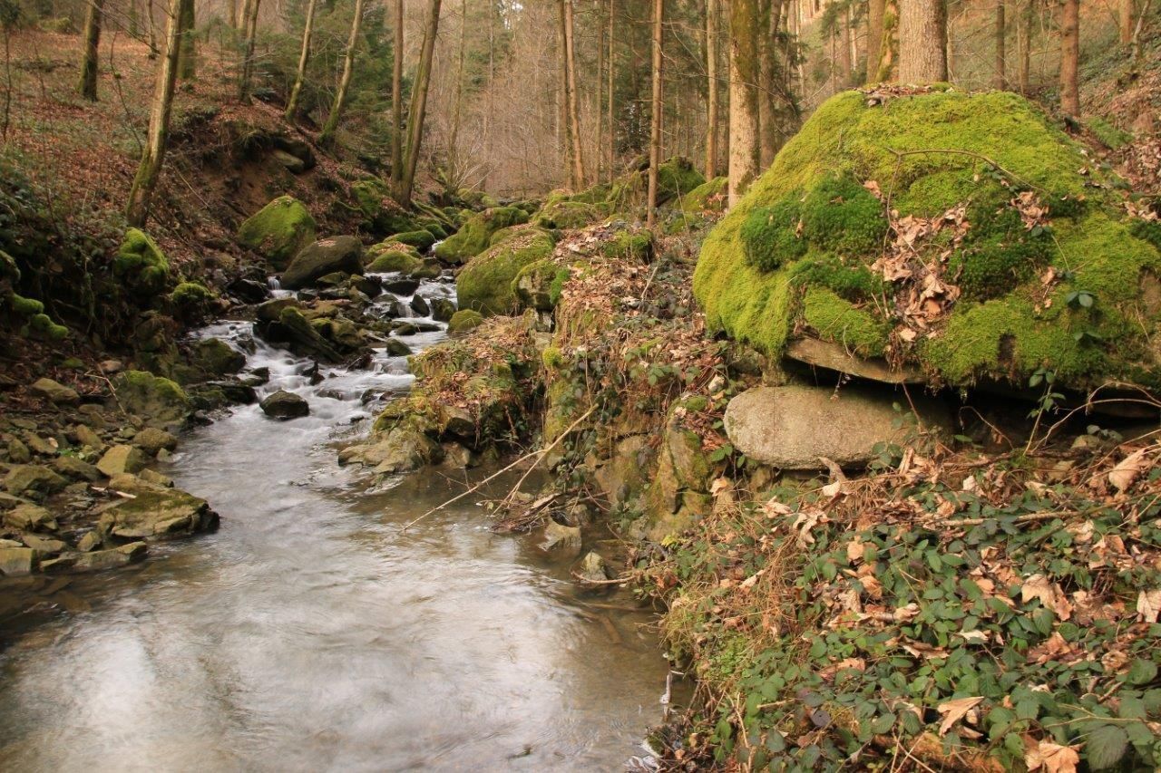Blindbach