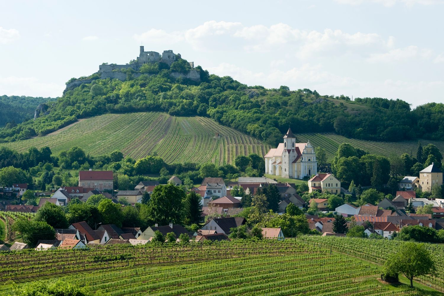 Blick auf die Burgruine Falkenstein auf einem Hügel, umgeben von Weinbergen und einem Dorf mit einer Kirche.