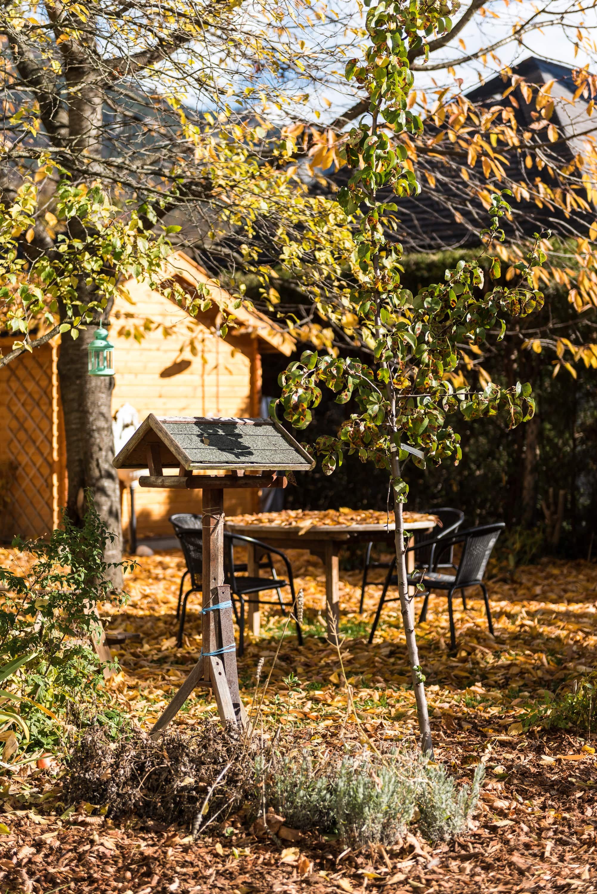 Ein herbstlicher Garten mit Laub bedeckt, ein Vogelhaus im Vordergrund, ein Tisch und Stühle im Hintergrund, umgeben von Bäumen und einem Holzhaus.