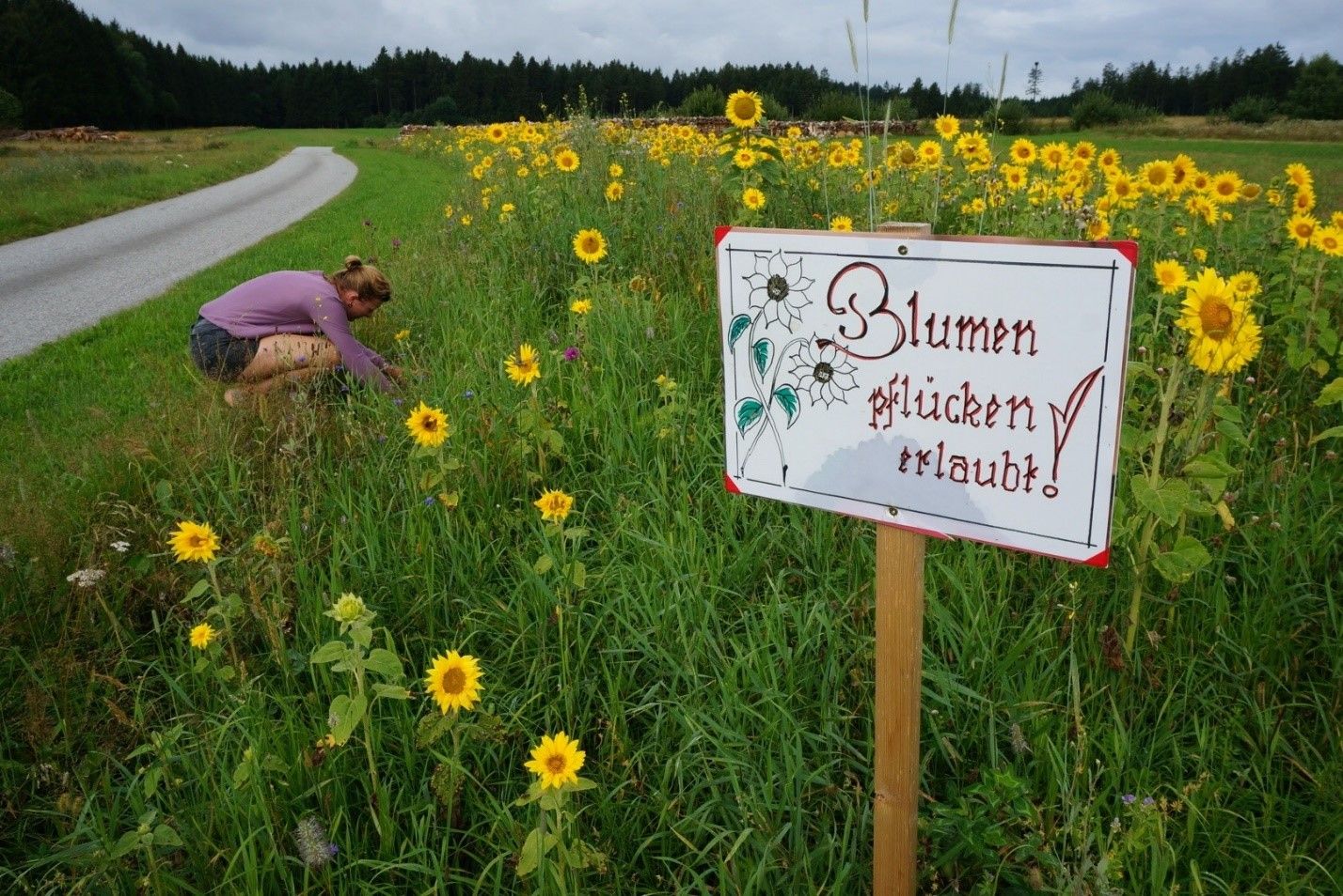 Umgebung, Blumenpflücken erlaubt
