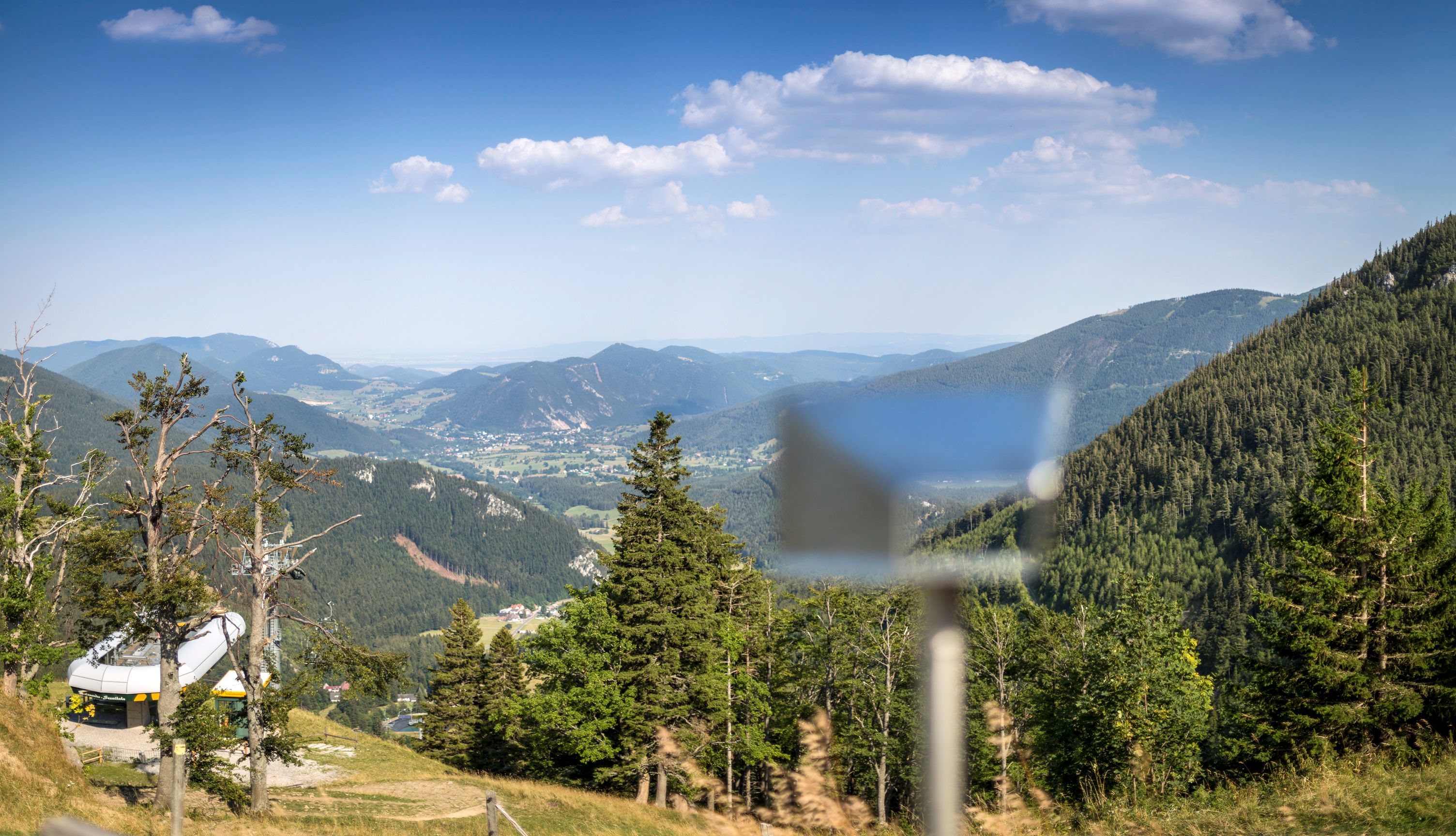 Blick von der Edelweißhütte auf den Schneeberg mit grünen Wäldern und Bergen im Hintergrund.