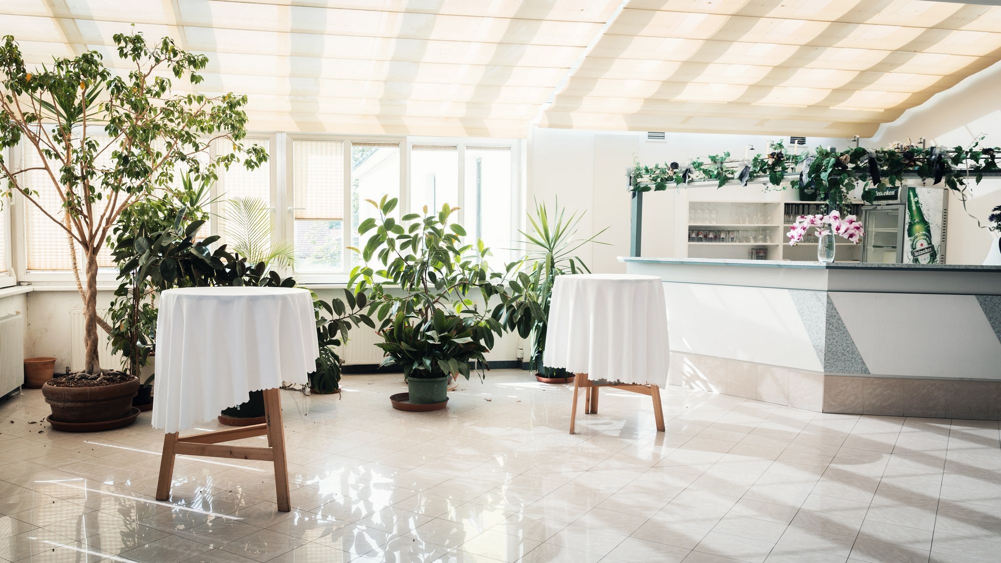 Heller Raum mit Pflanzen, zwei Stehtischen mit weißen Tischdecken und einer Bar im Hintergrund.