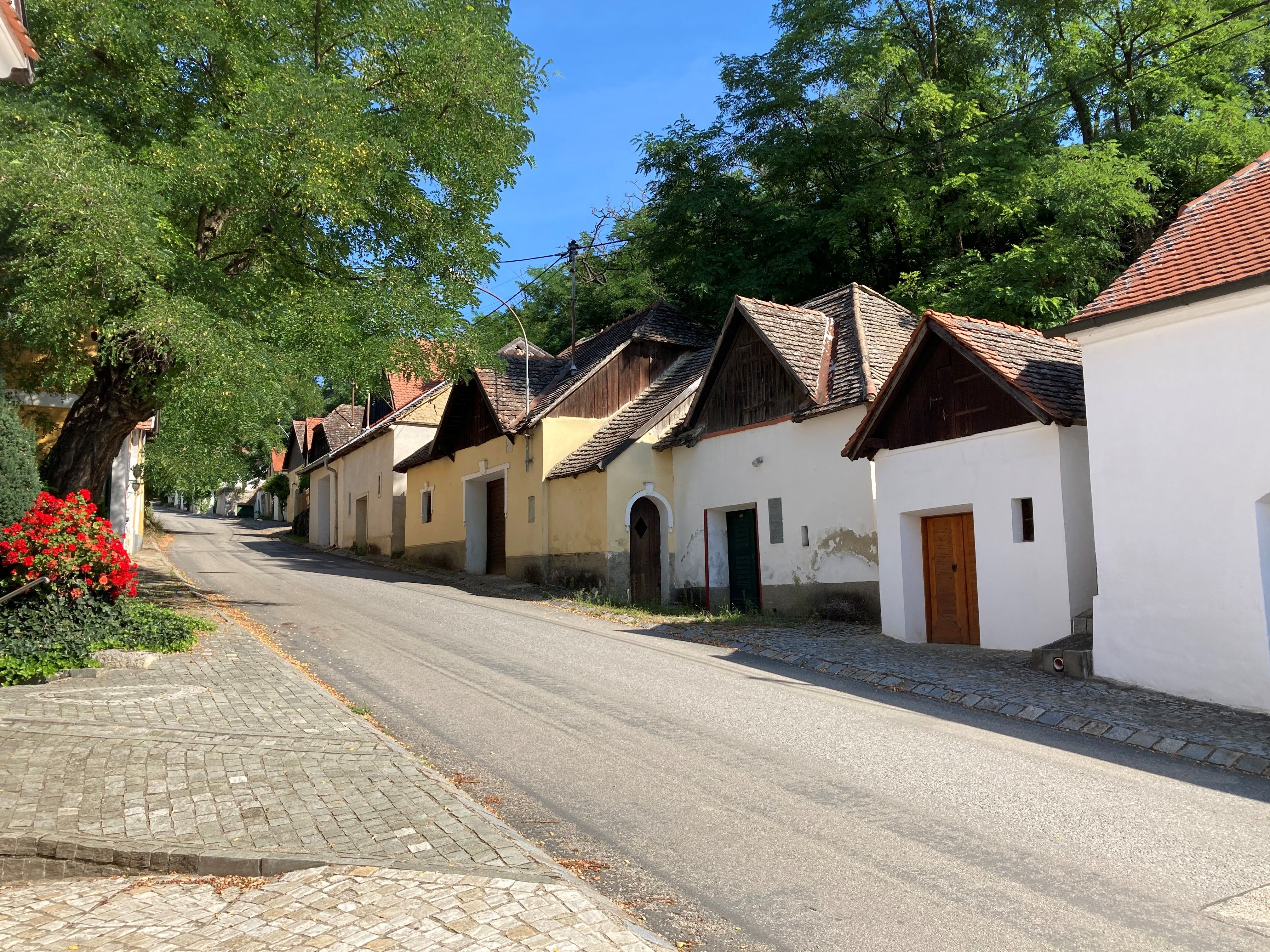 Straße mit alten Häusern und Bäumen in einem Dorf.