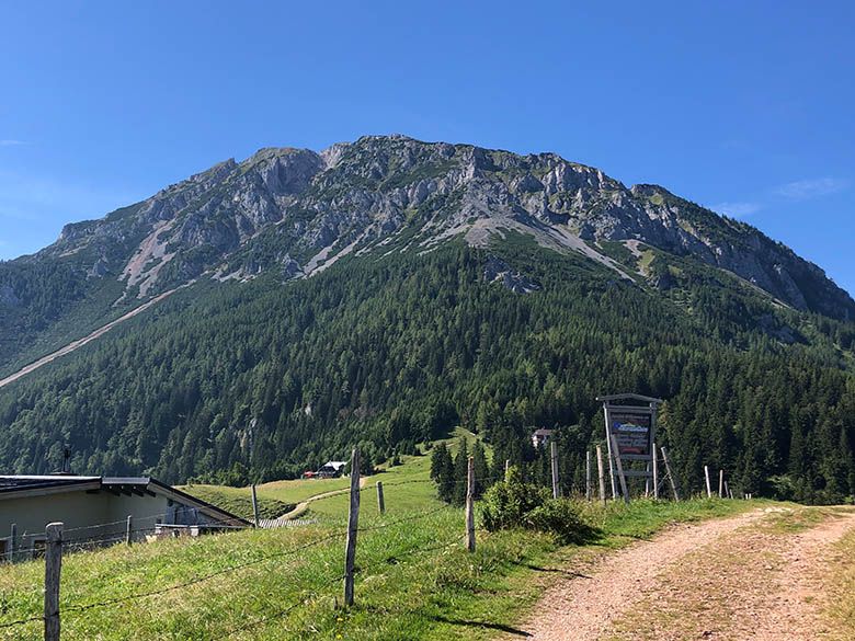 Blick auf einen Berg mit grünem Wald und felsigem Gipfel unter blauem Himmel.