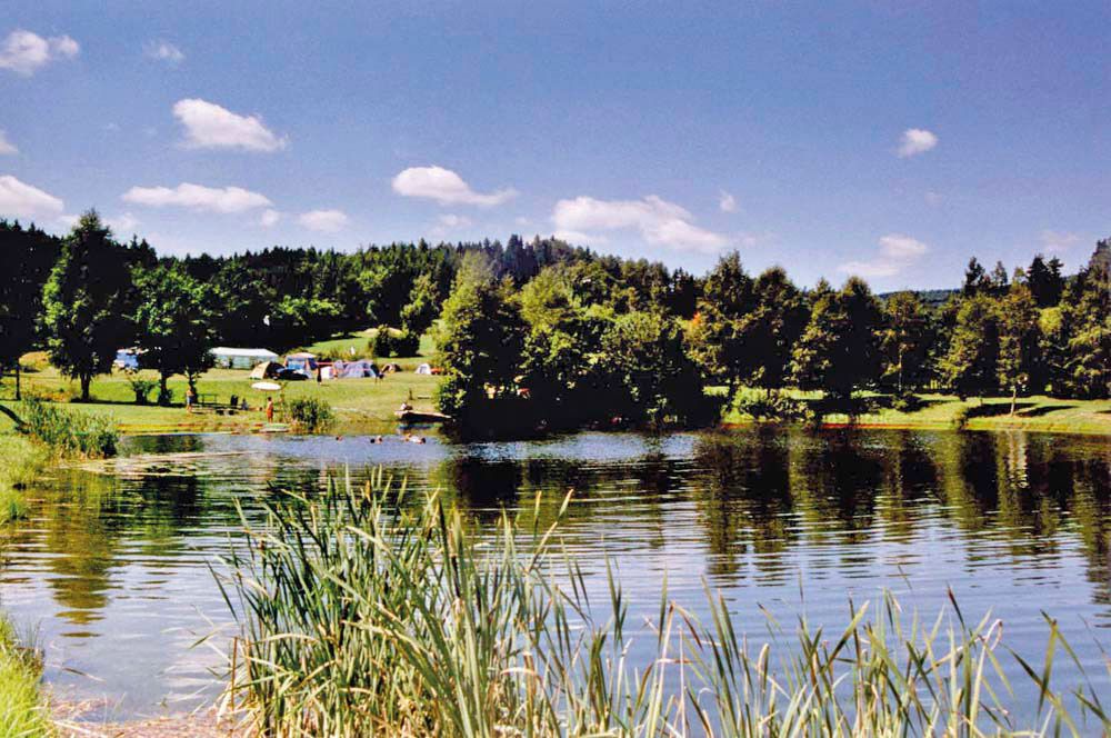 Ein idyllischer Campingplatz mit Zelten am Ufer eines Sees, umgeben von Bäumen und Wiesen unter blauem Himmel.