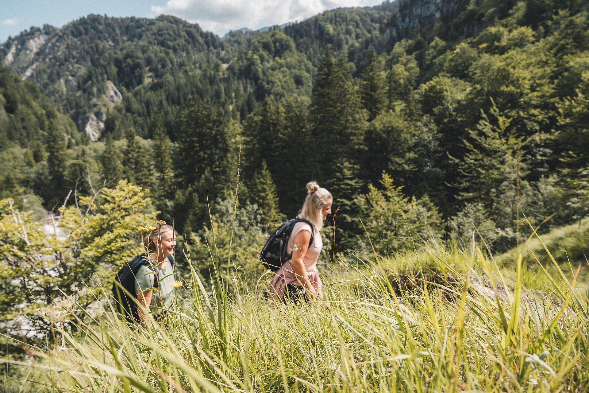 Wildnisgebiet Dürrenstein