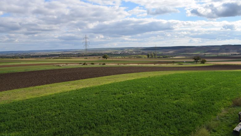 Weite Landschaft mit Feldern und Strommasten unter bewölktem Himmel.
