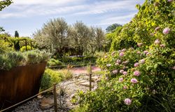 Inmitten blühender Rosen und duftender Lavendelsträucher entfaltet sich ein harmonisches Gartenparadies. Die sanften Hügel und die üppige Vegetation laden dazu ein, die Seele baumeln zu lassen und die Schönheit der Natur zu genießen.