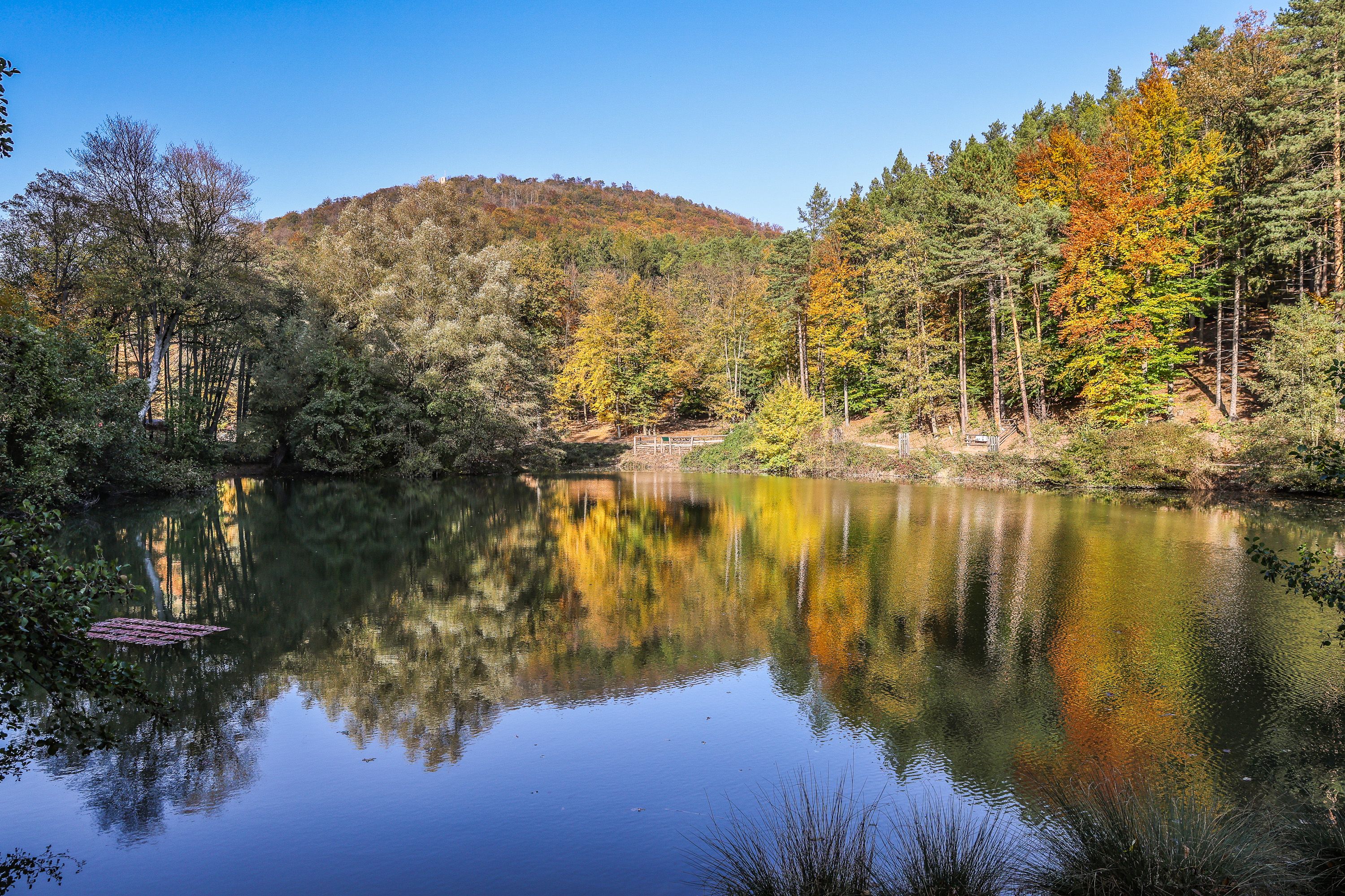 Naturpark Sparbach