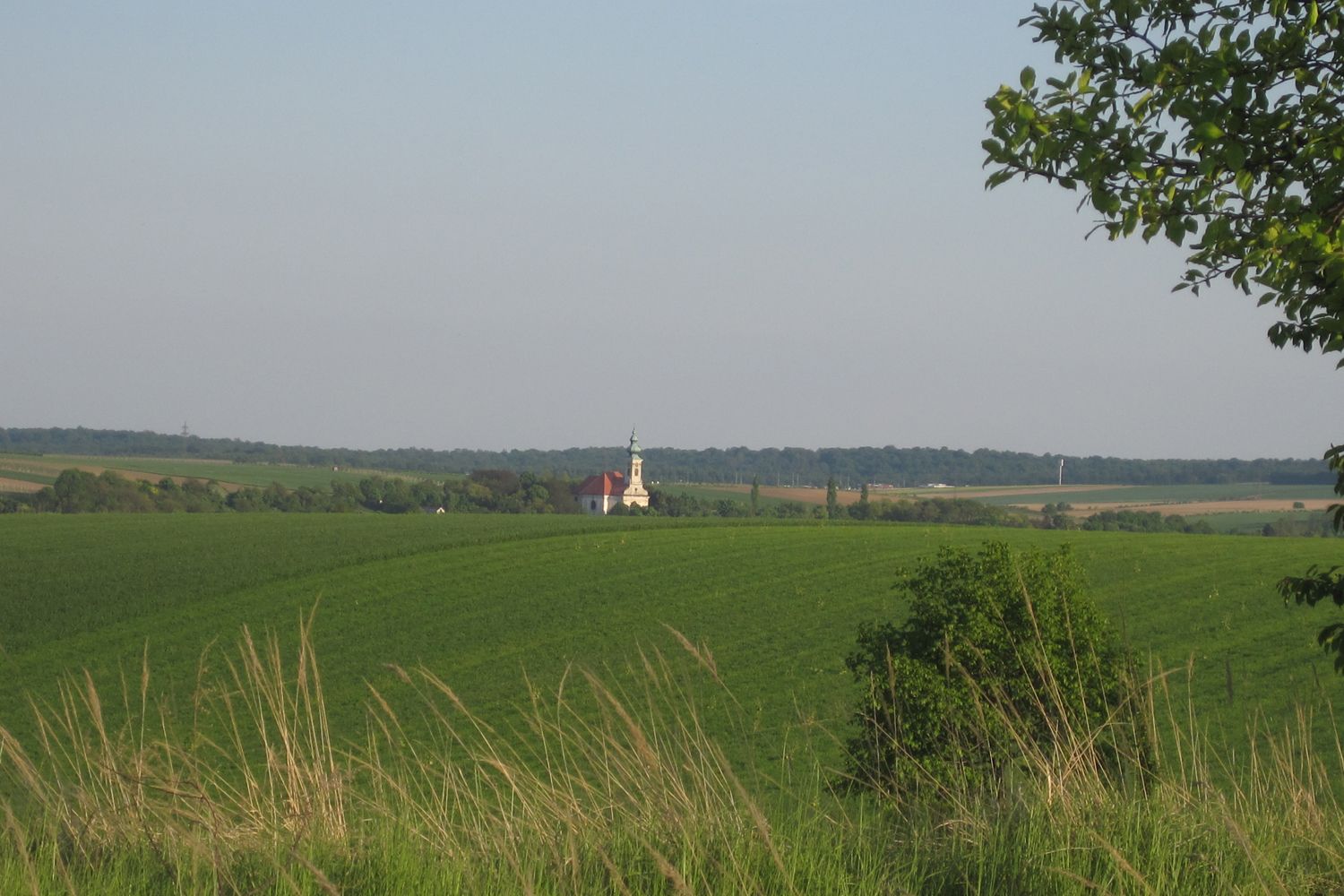 Landschaft mit Kirche in der Ferne, umgeben von grünen Feldern und Bäumen.