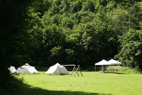 Zelte und Pavillon auf einer grünen Wiese vor einem Wald.