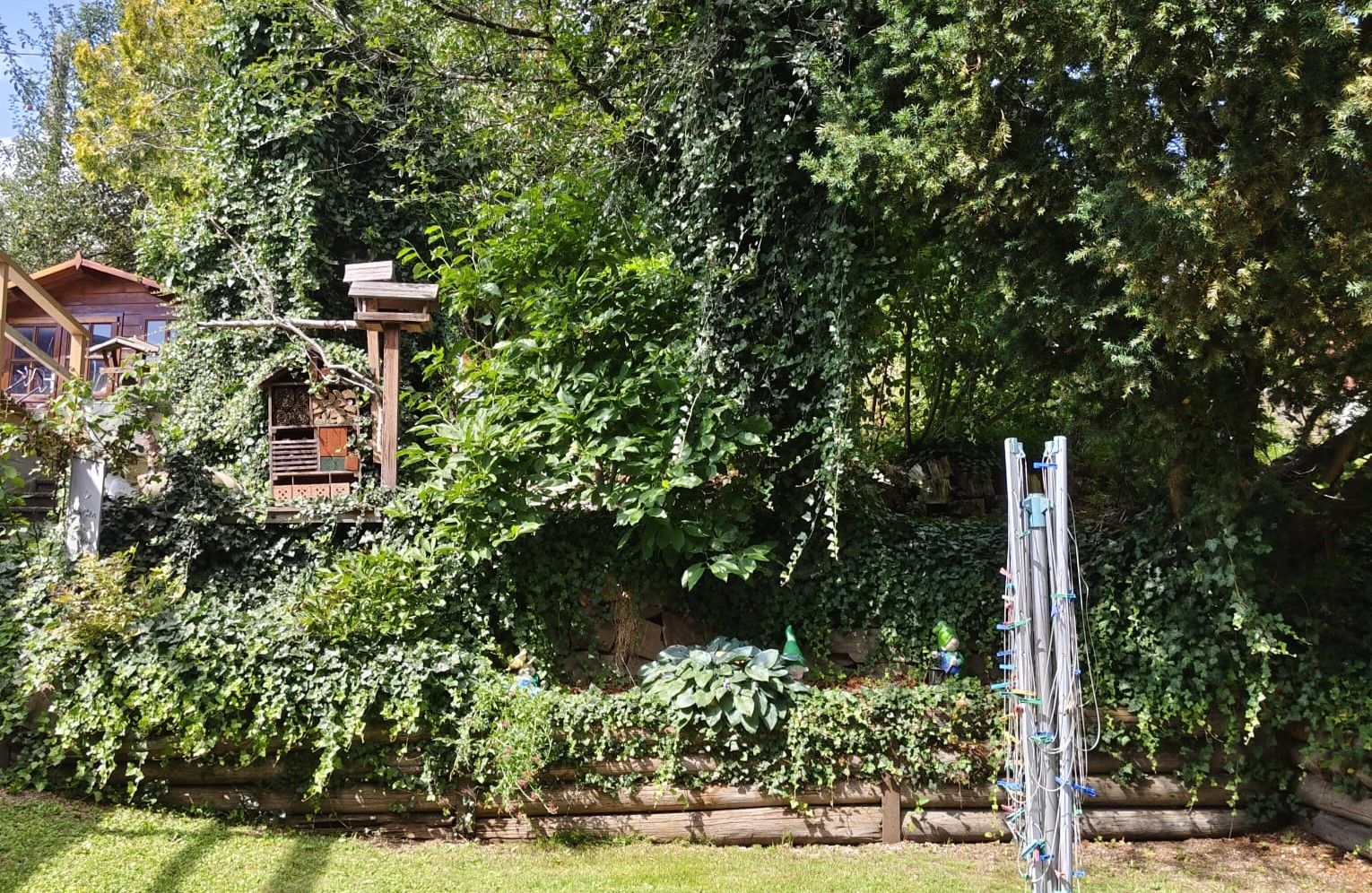Vorgarten