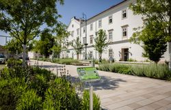 Begrünter Minoritenplatz in Tulln, Blick auf das Rathaus mit Informationstafel über Pflanzenvielfalt