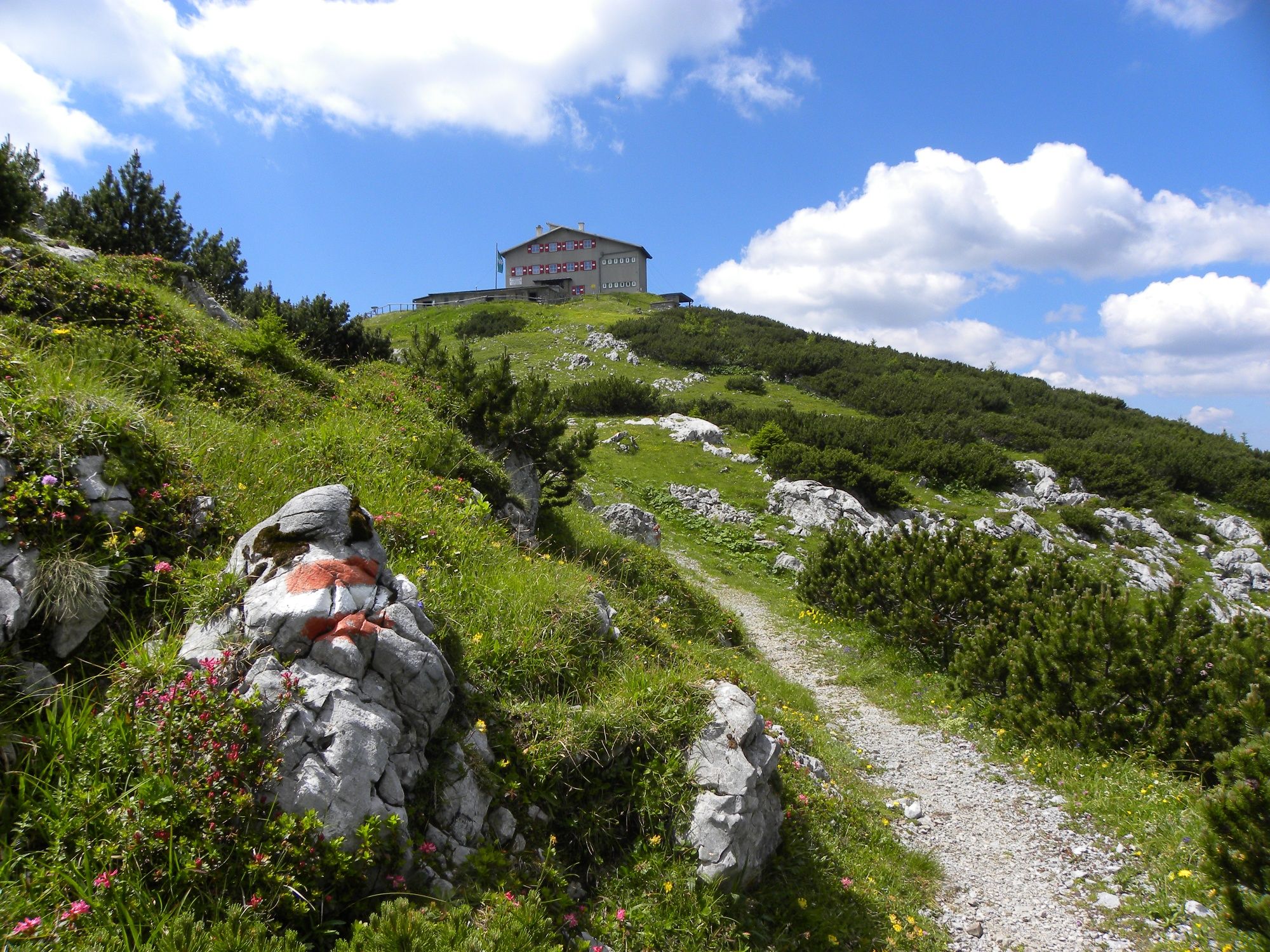 Blick zum Habsburghaus
