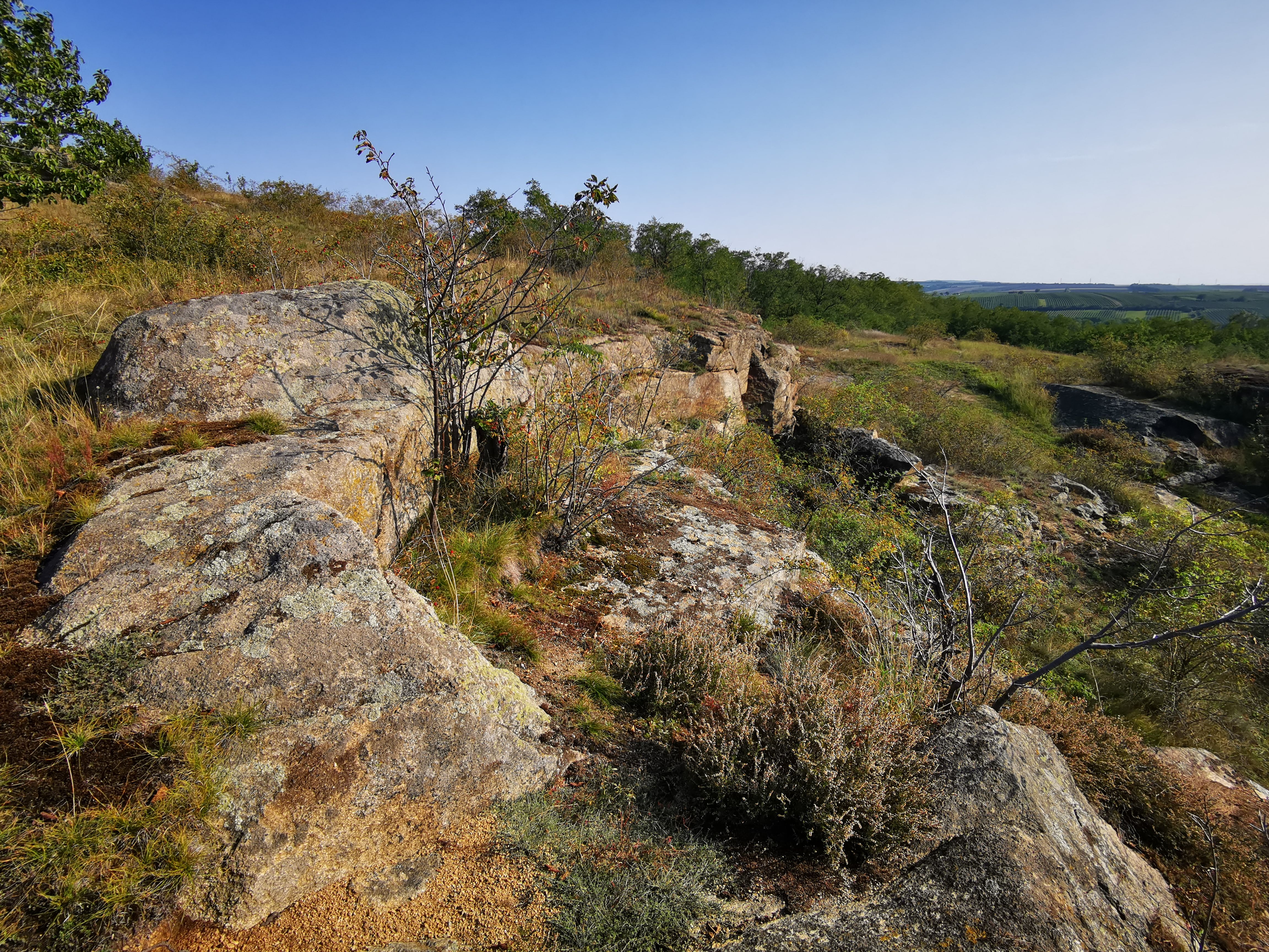 Felsige Landschaft mit spärlicher Vegetation und blauem Himmel.