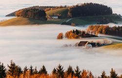 Im goldenen Licht des Herbstes entfaltet die sanfte Hügellandschaft ihre volle Pracht. Nebelschwaden umhüllen die malerischen Höhlen und Wälder, während die bunten Blätter der Bäume in warmen Tönen leuchten. Ein Ort der Ruhe und Inspiration, ideal für Naturliebhaber und Wanderfreunde.