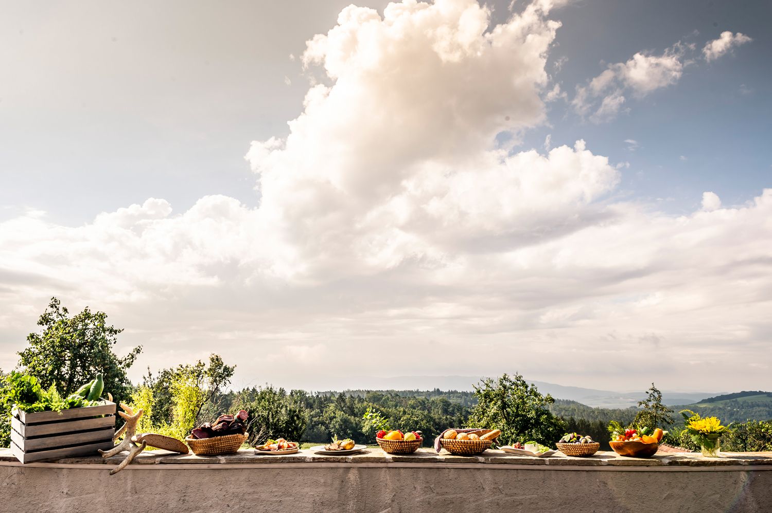 Verschiedene Körbe mit Obst und Gemüse auf einer Mauer vor einer Landschaft mit Bäumen und Wolken.