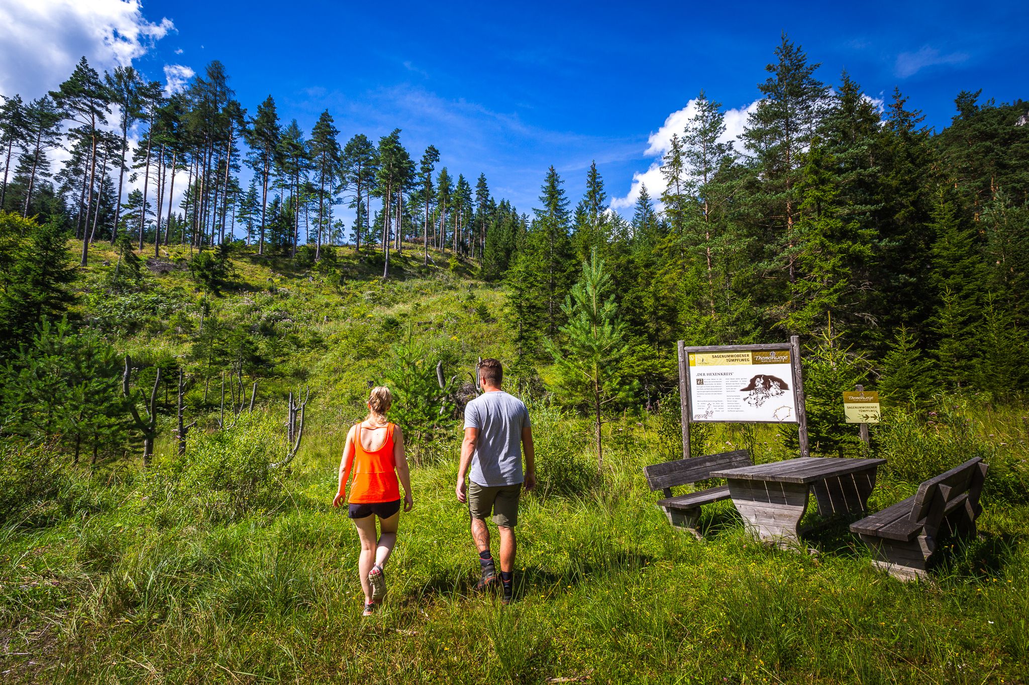 Themenstation am Waldrand in einer Lichtung
