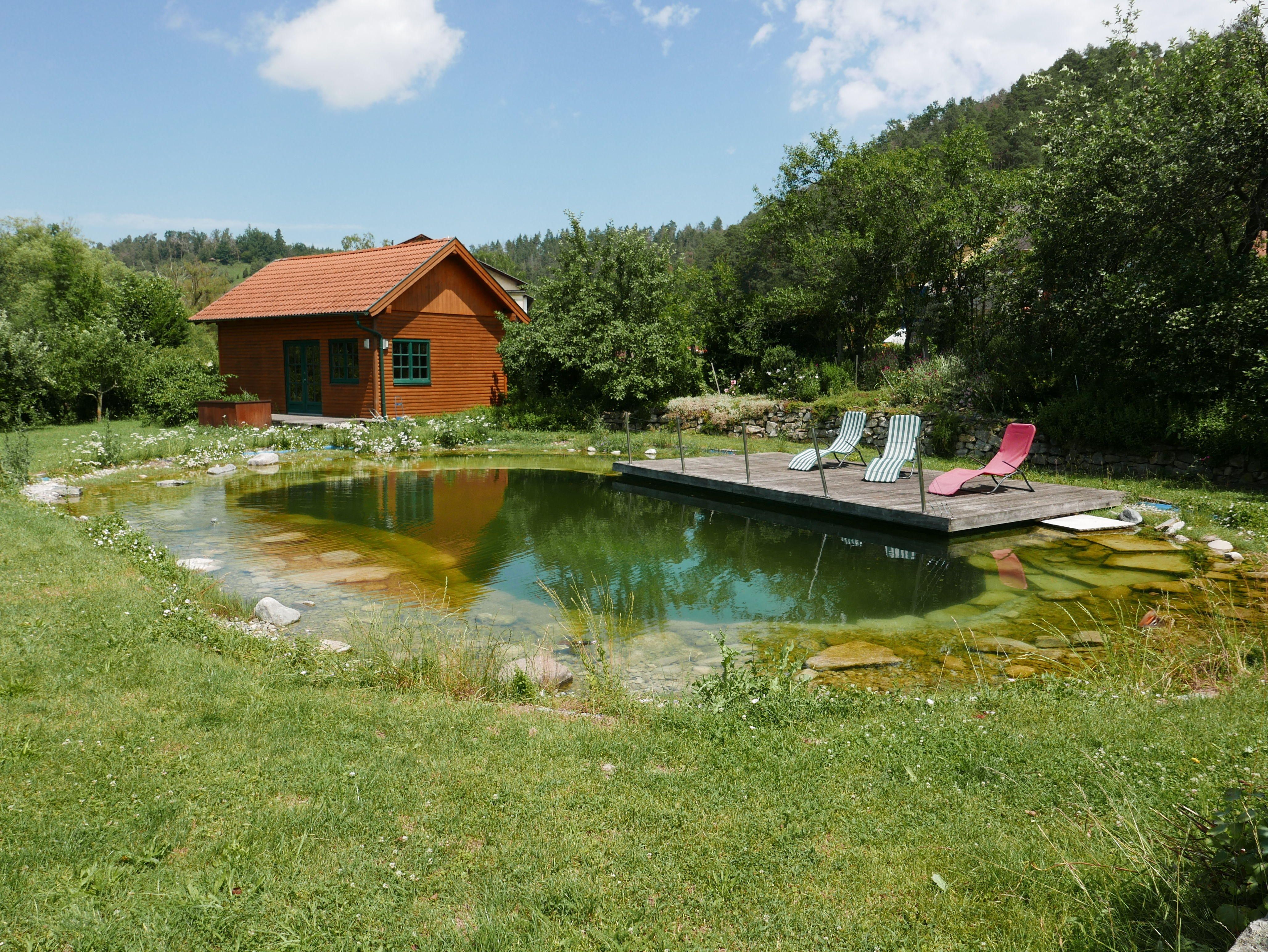 Ein Holzhaus mit rotem Dach steht neben einem Teich mit Liegestühlen auf einem Steg, umgeben von grüner Natur.