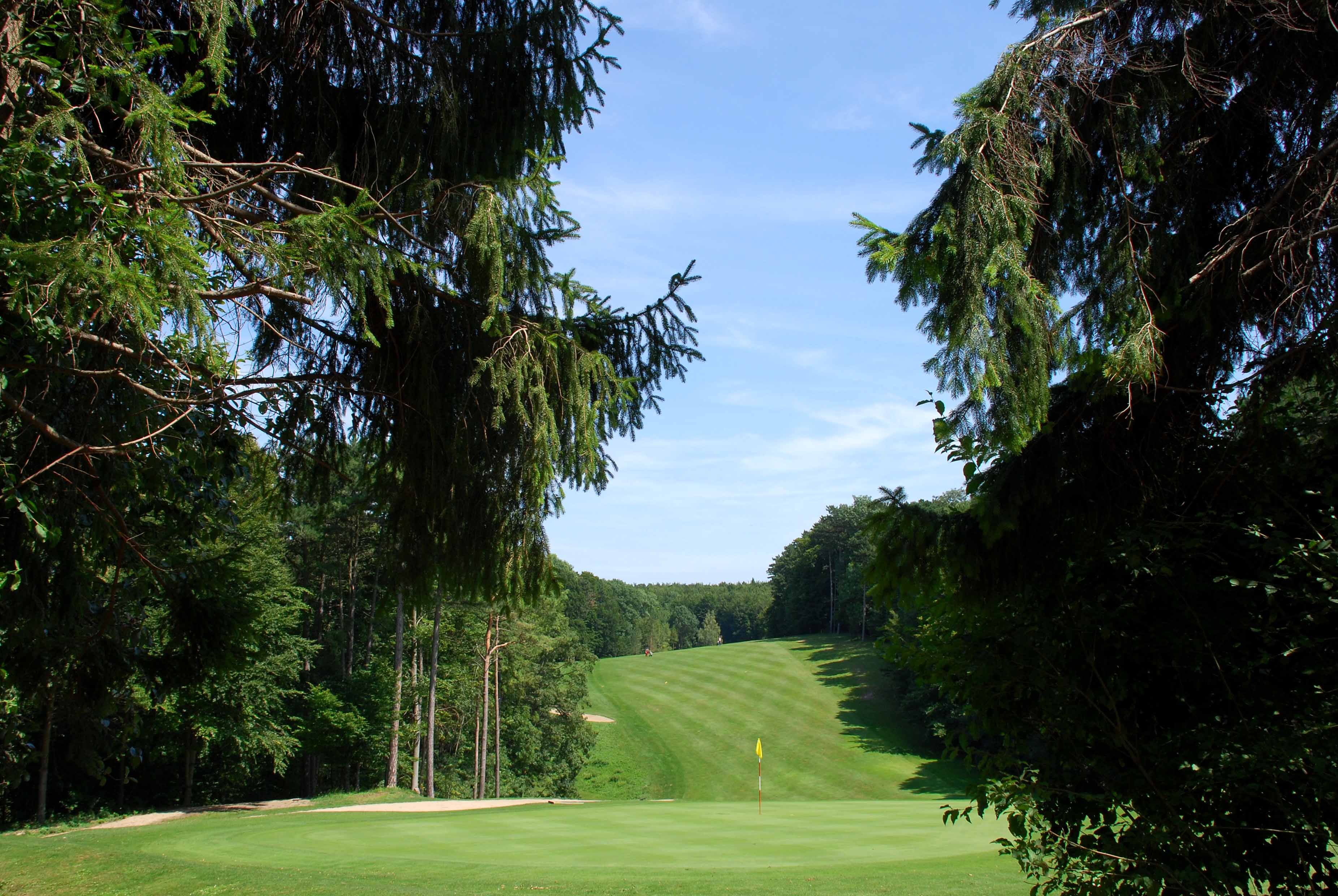 Golfplatz mit grünem Fairway und Fahne, umgeben von Bäumen.