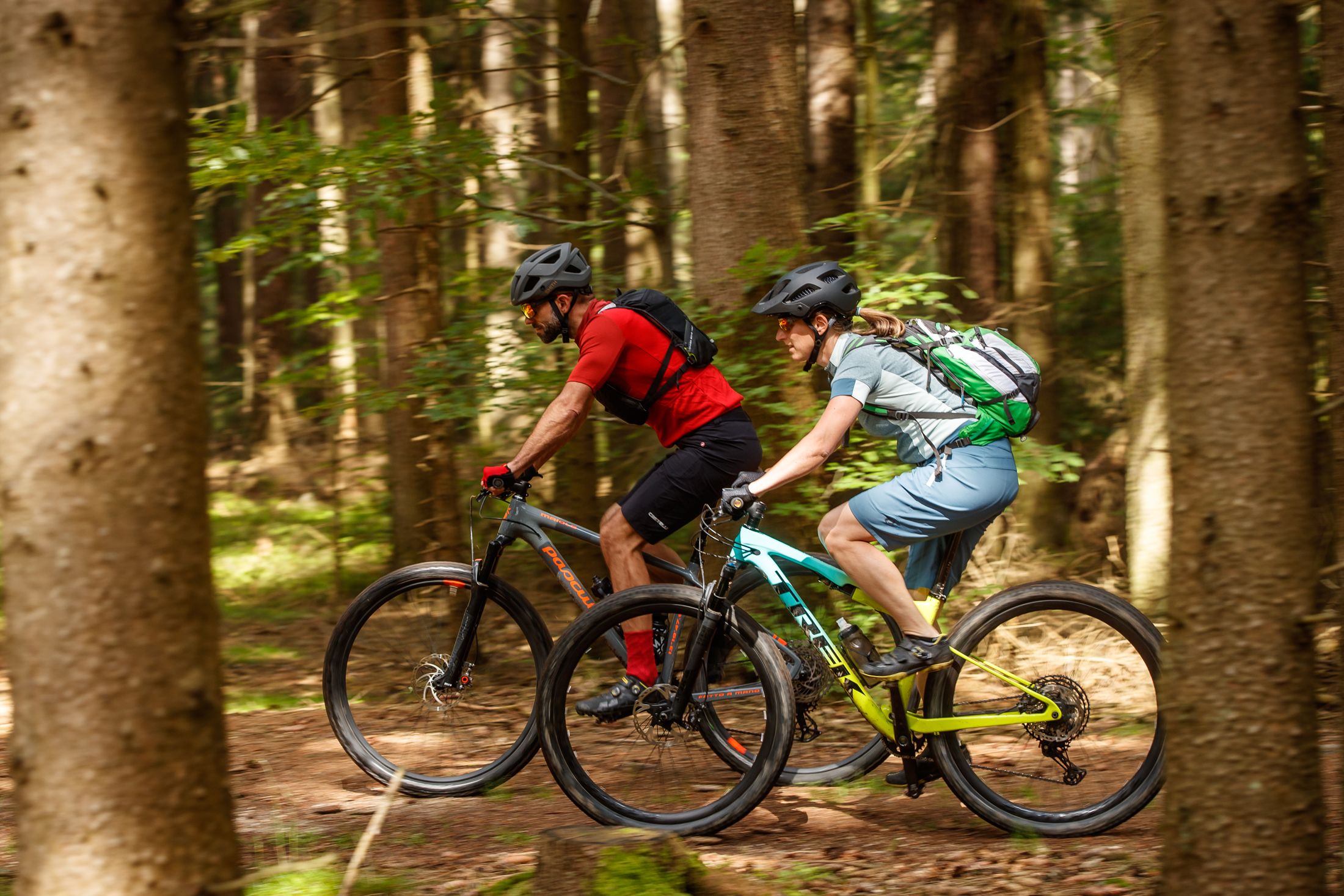 Zwei Mountainbiker fahren durch einen Wald auf einem Trail.