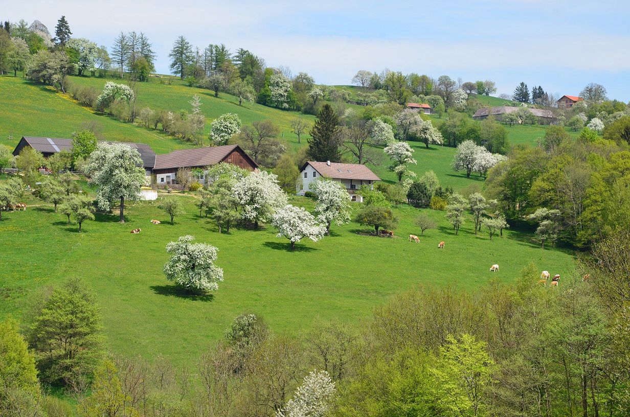 Ferienwohnung Familie Vonwald