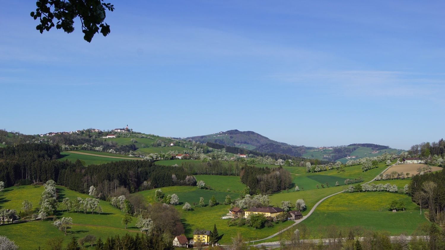 Panoramablick am Trefflingblickweg