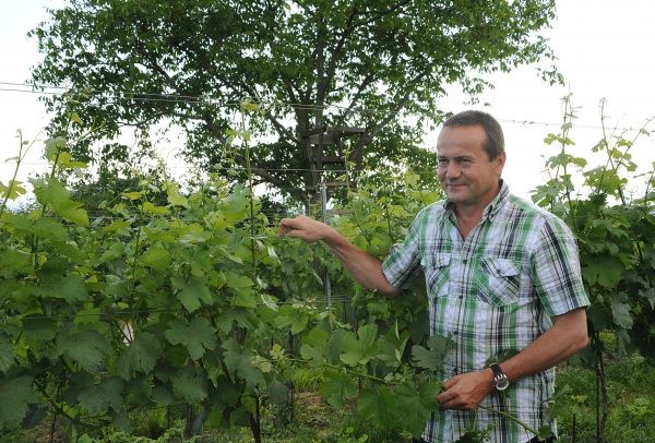 Weingut Leopold Blauensteiner