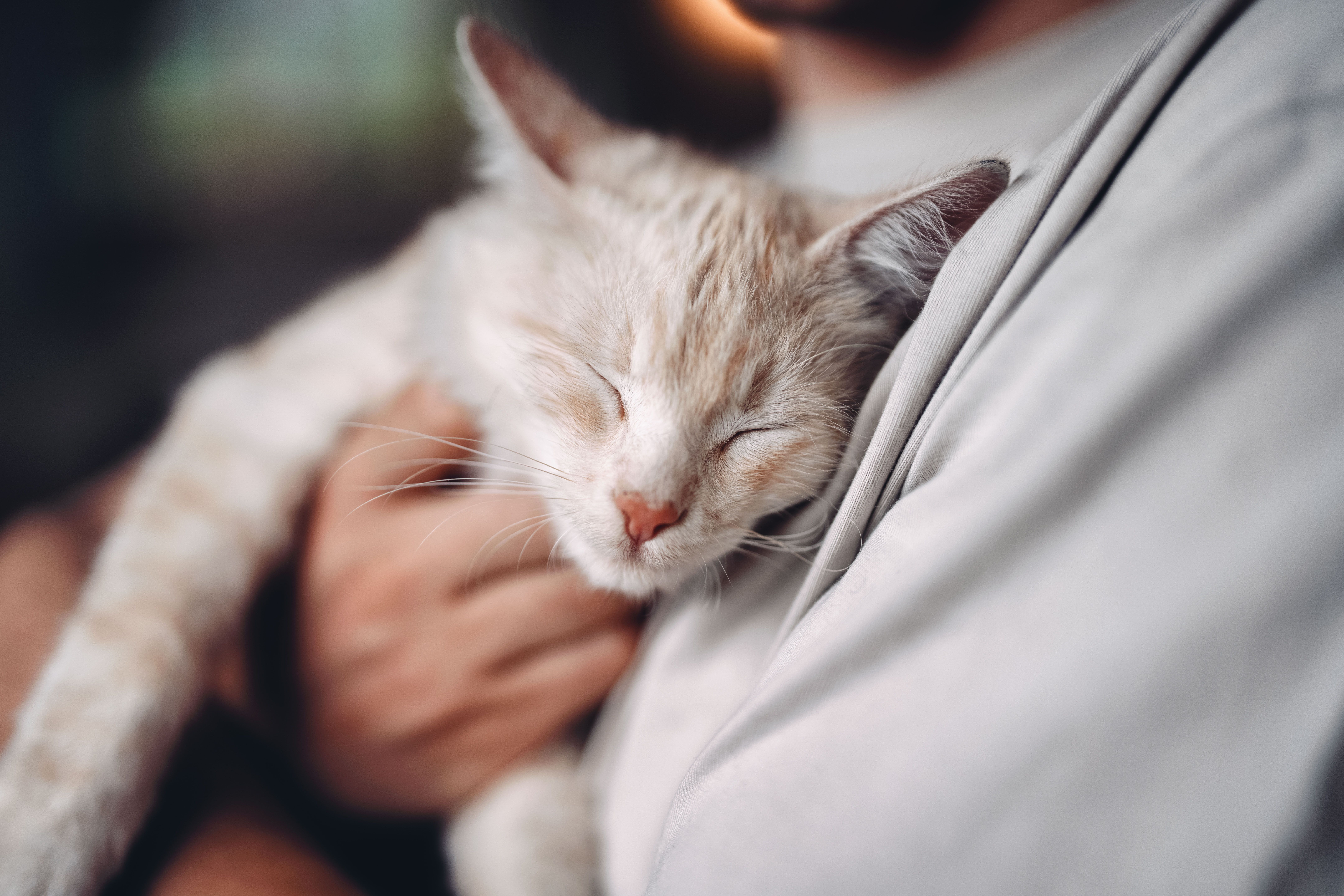 Mostheuriger Resch am Hörlesberg