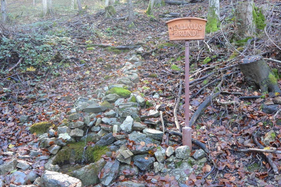 Kalmusbründl bei Scheibbs