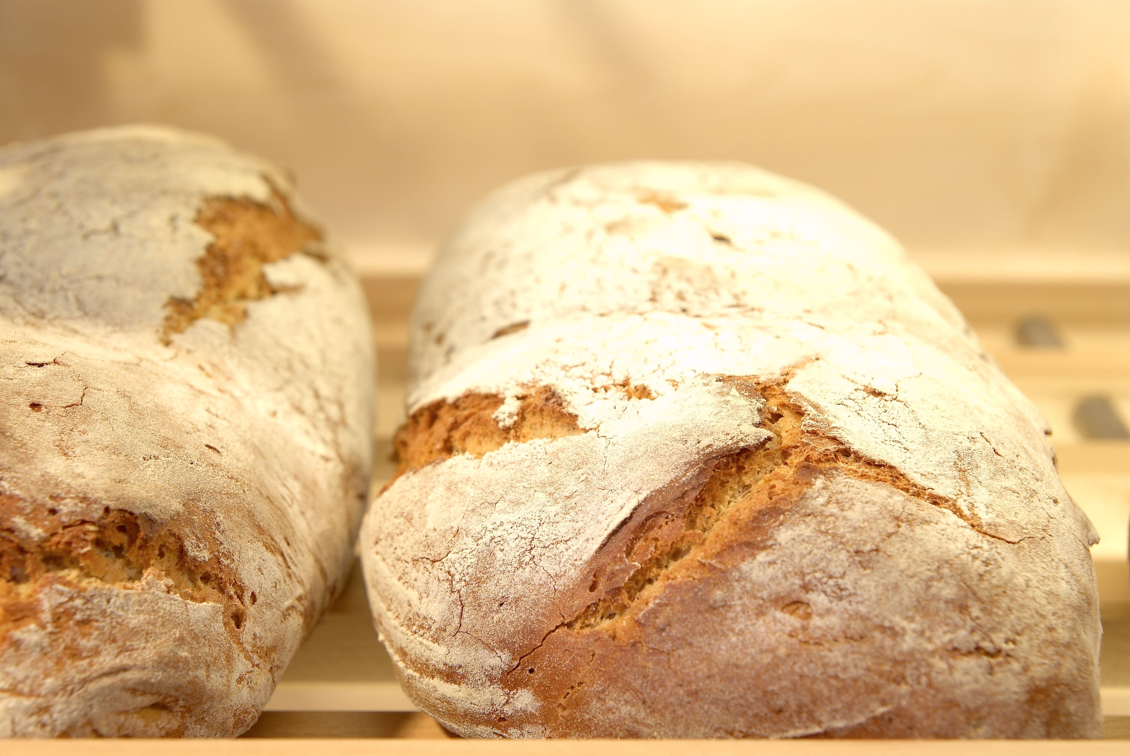 Brot vom Weingartner