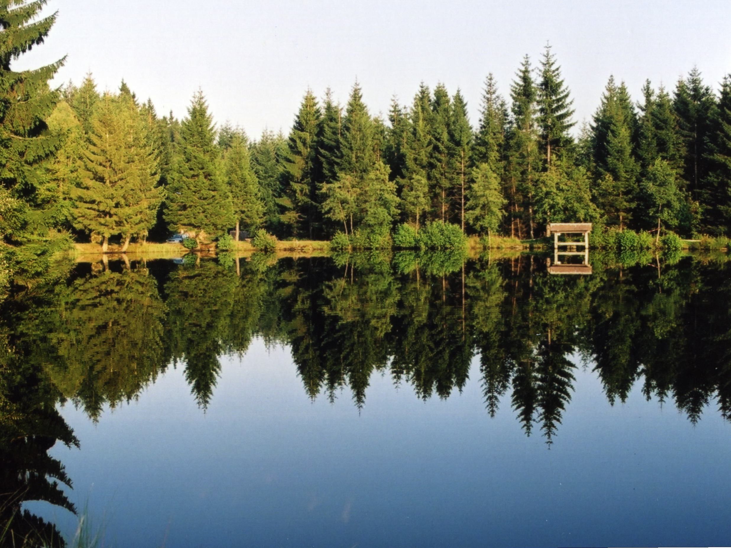 Hansl Teich