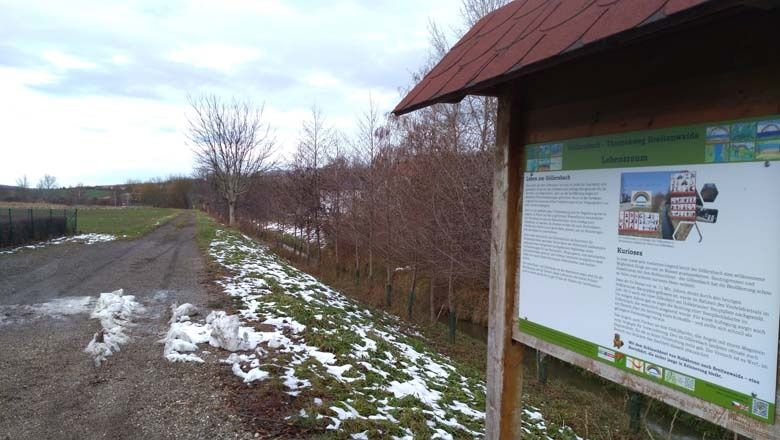 Am Themenweg Göllersbach