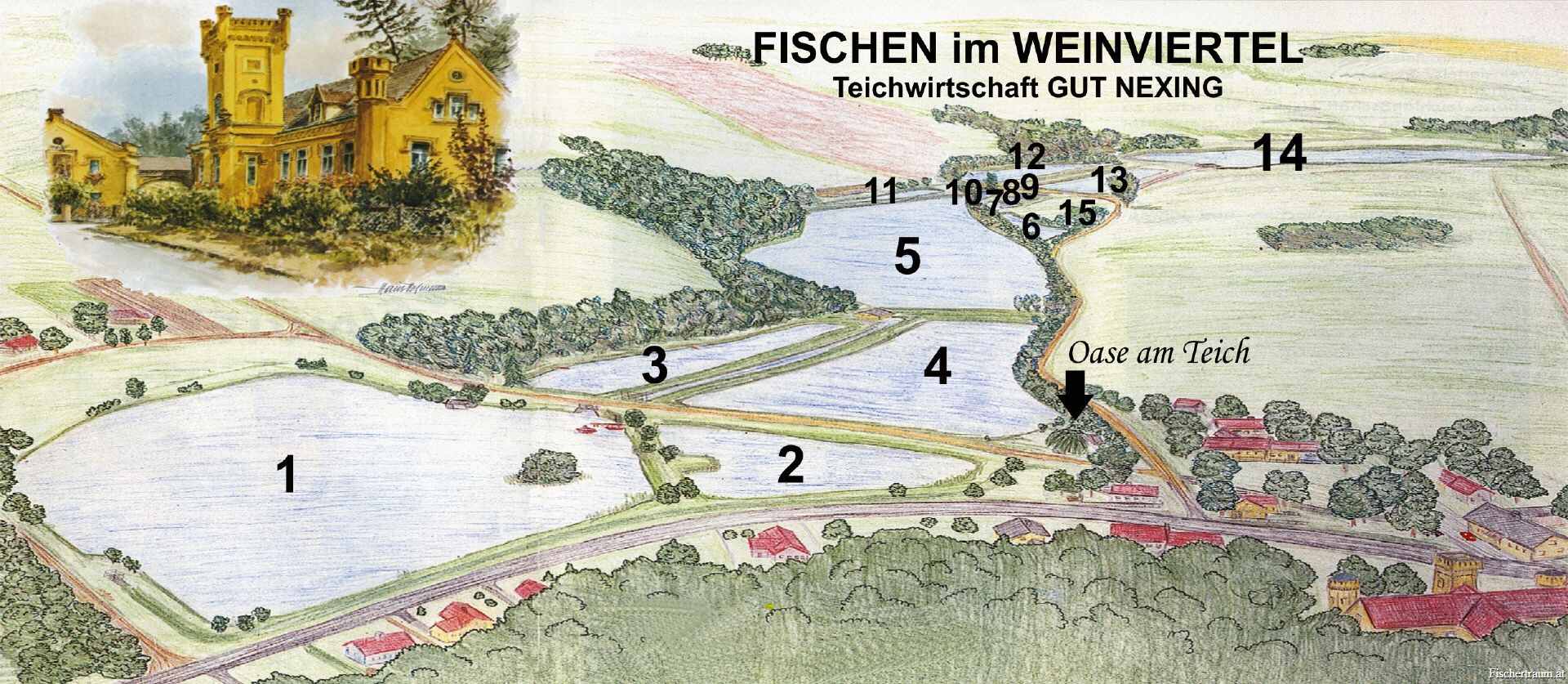 Illustration eines Teichplans mit nummerierten Bereichen und einem Gebäude im Weinviertel.