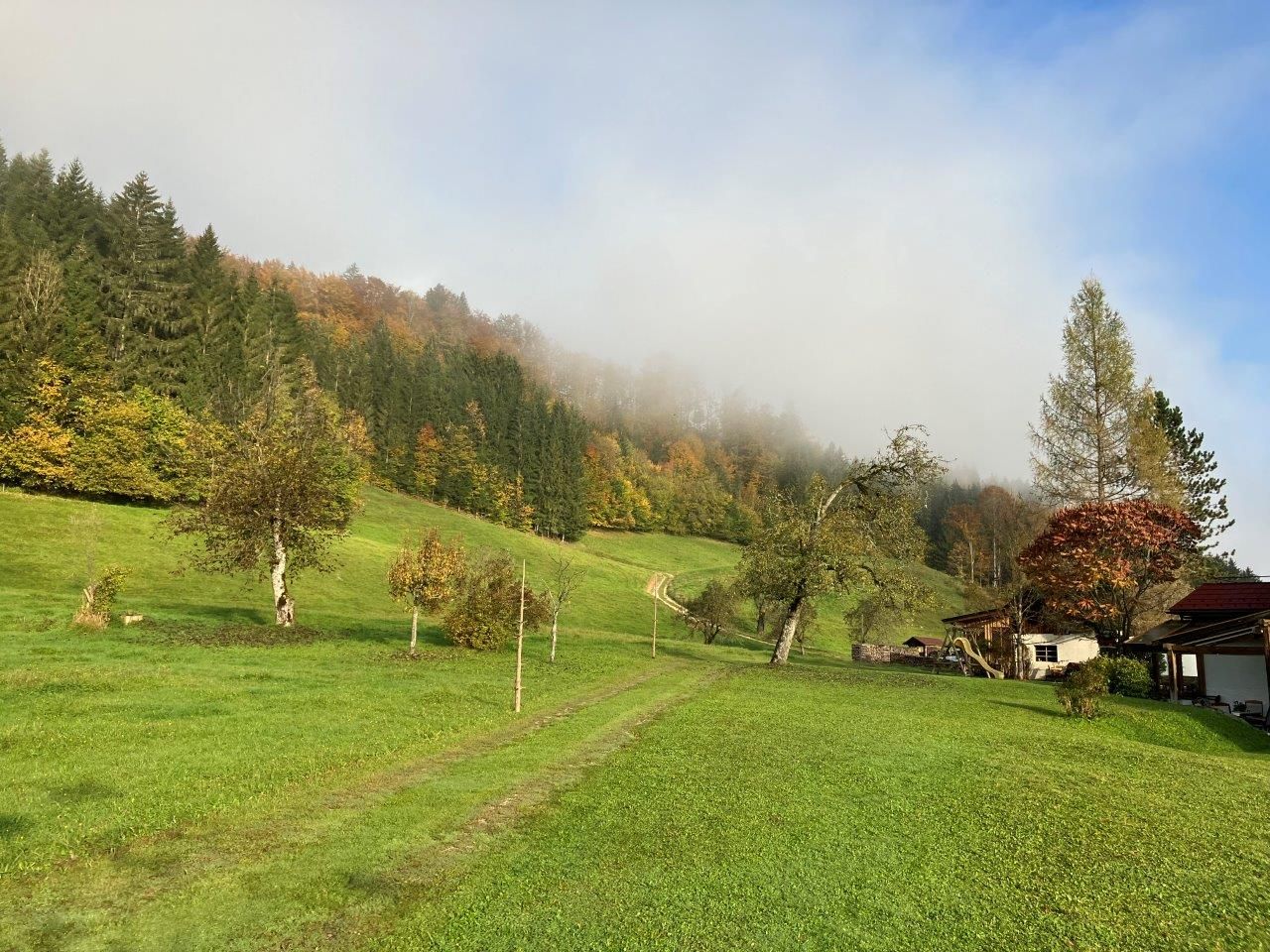 weitlaeufiger-garten-vor-dem-ferienhaus