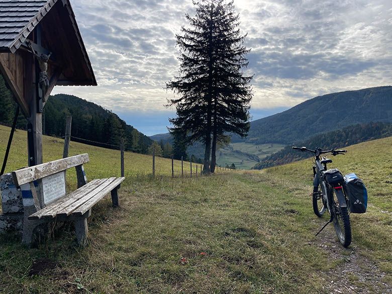 Landschaft mit Bank, Baum und Fahrrad auf einem Hügel mit Blick ins Tal.