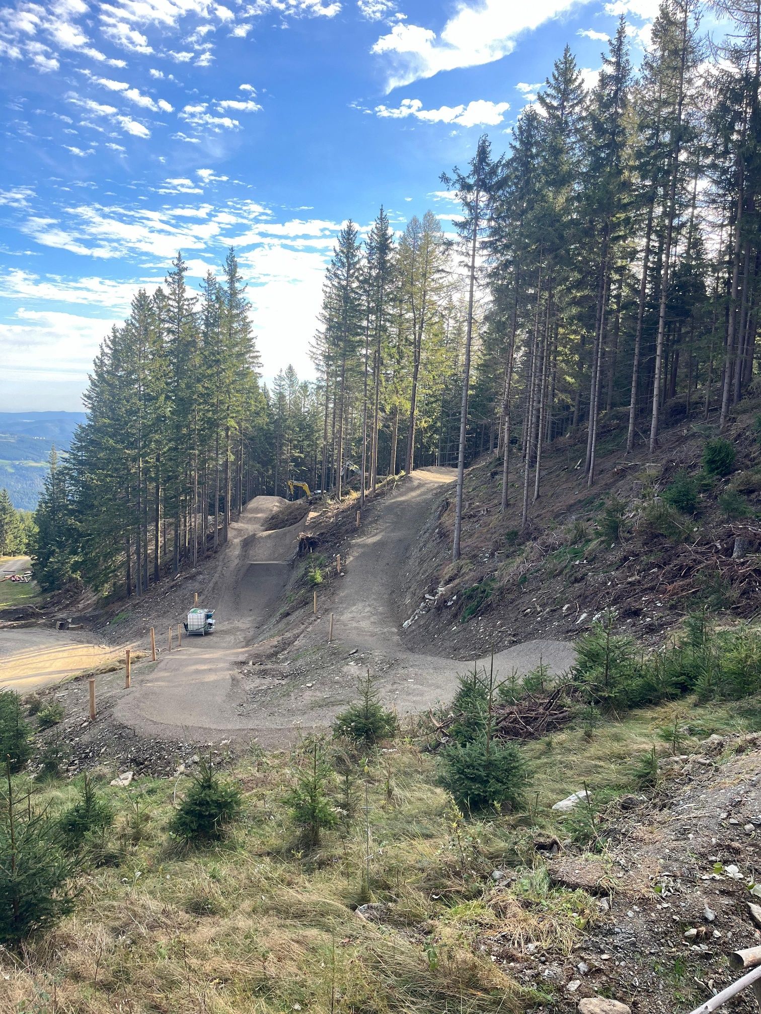 Ein Waldweg mit einer Kurve, umgeben von hohen Bäumen und einem klaren blauen Himmel.