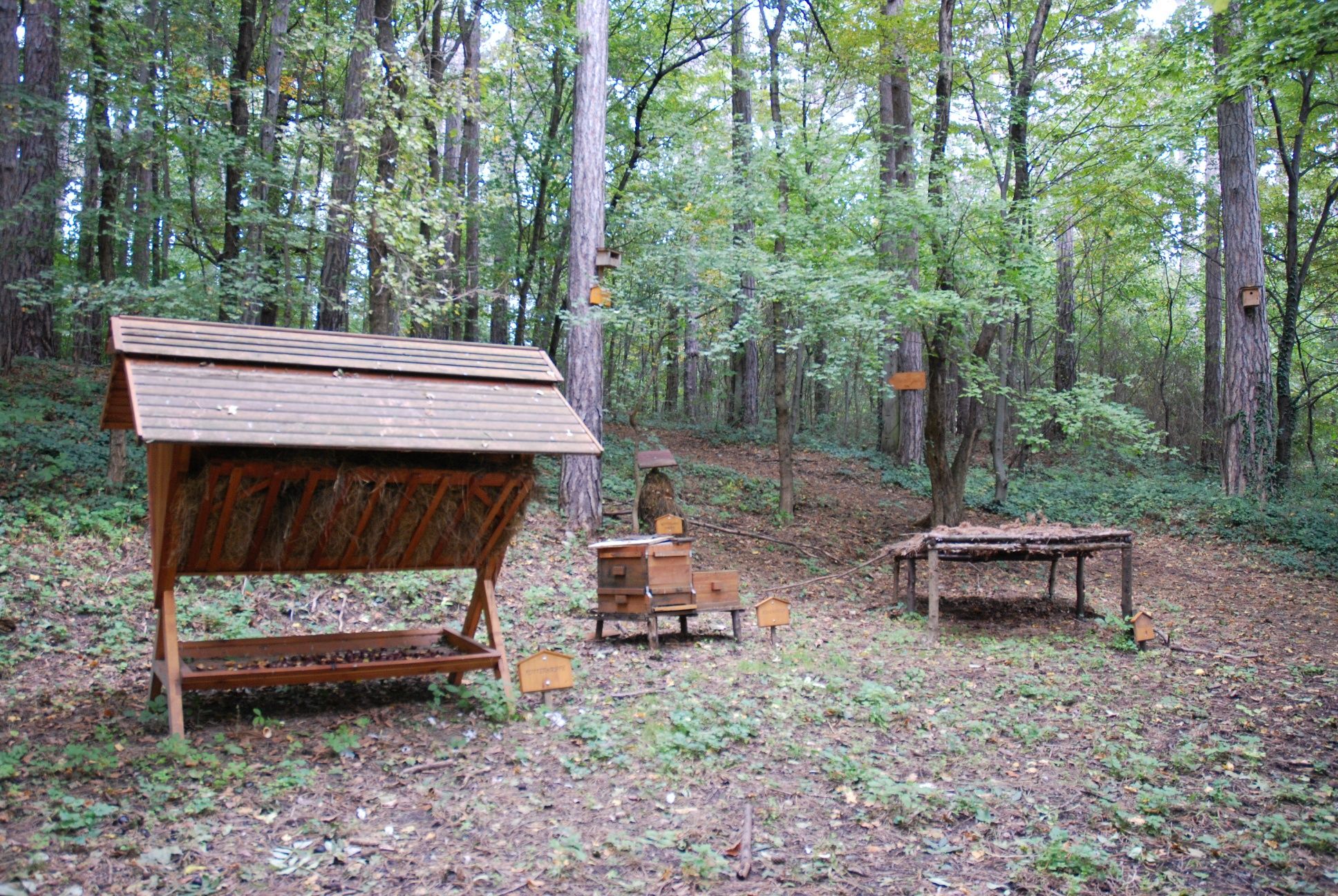 Schautafel Wildfütterung