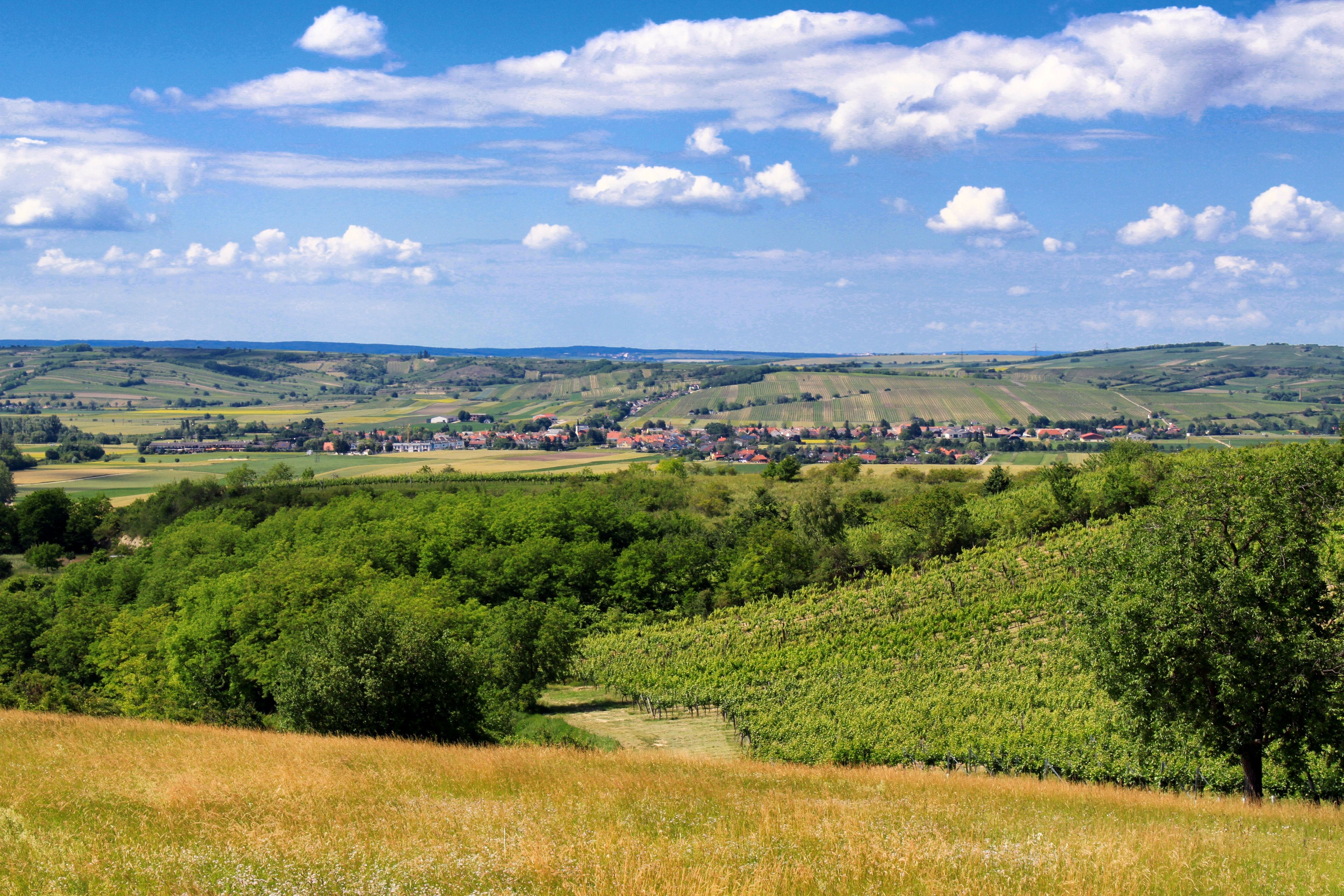Landschaft mit grünen Feldern und einem Dorf im Hintergrund unter blauem Himmel.