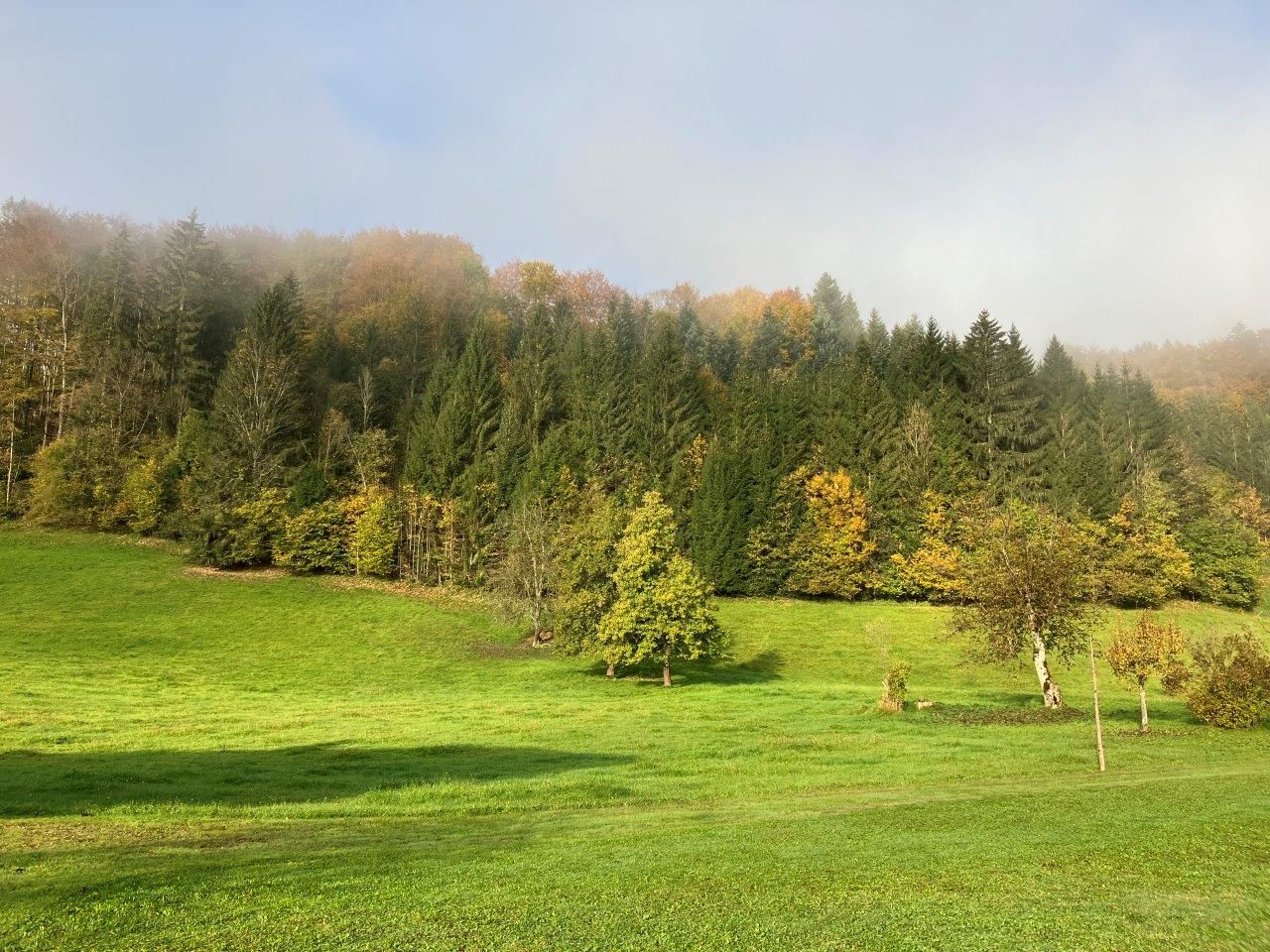 weitlaeufiger-garten-vor-dem-ferienhaus