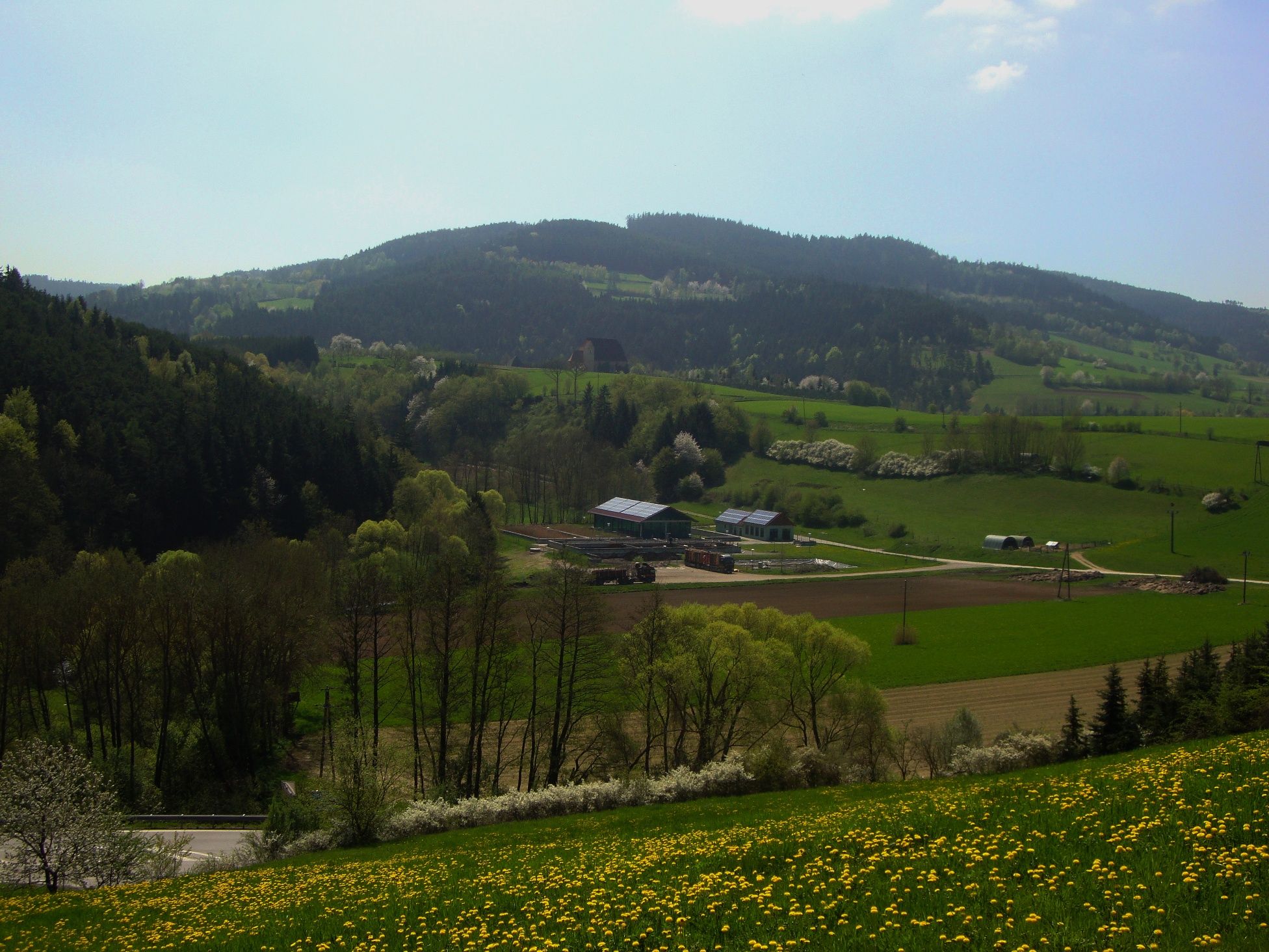 Blick zur St. Anna Kirche