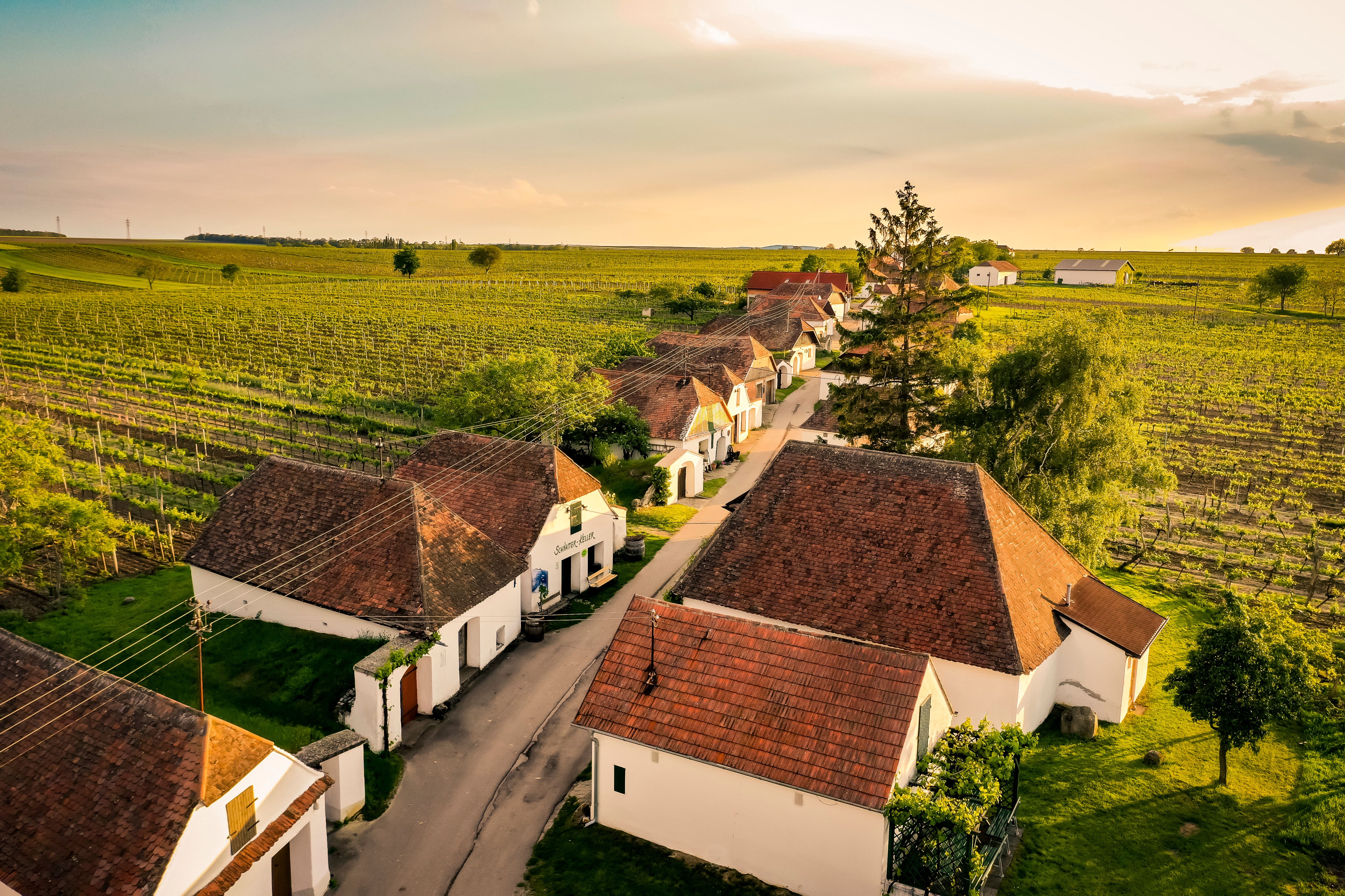 Luftaufnahme der Kellergasse in Zellerndorf mit Weinfeldern und traditionellen Gebäuden.