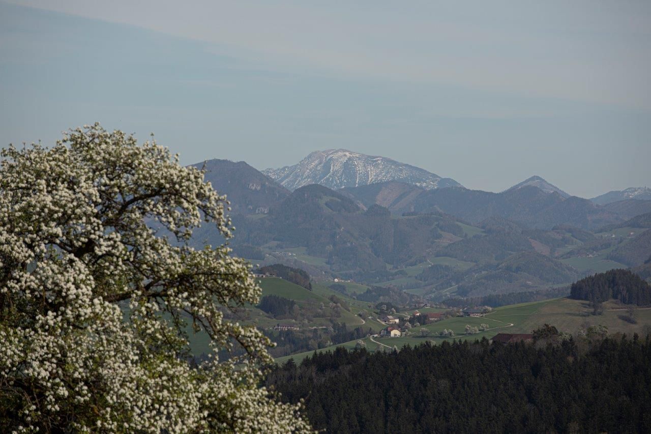 Fotopunkt Ötscher