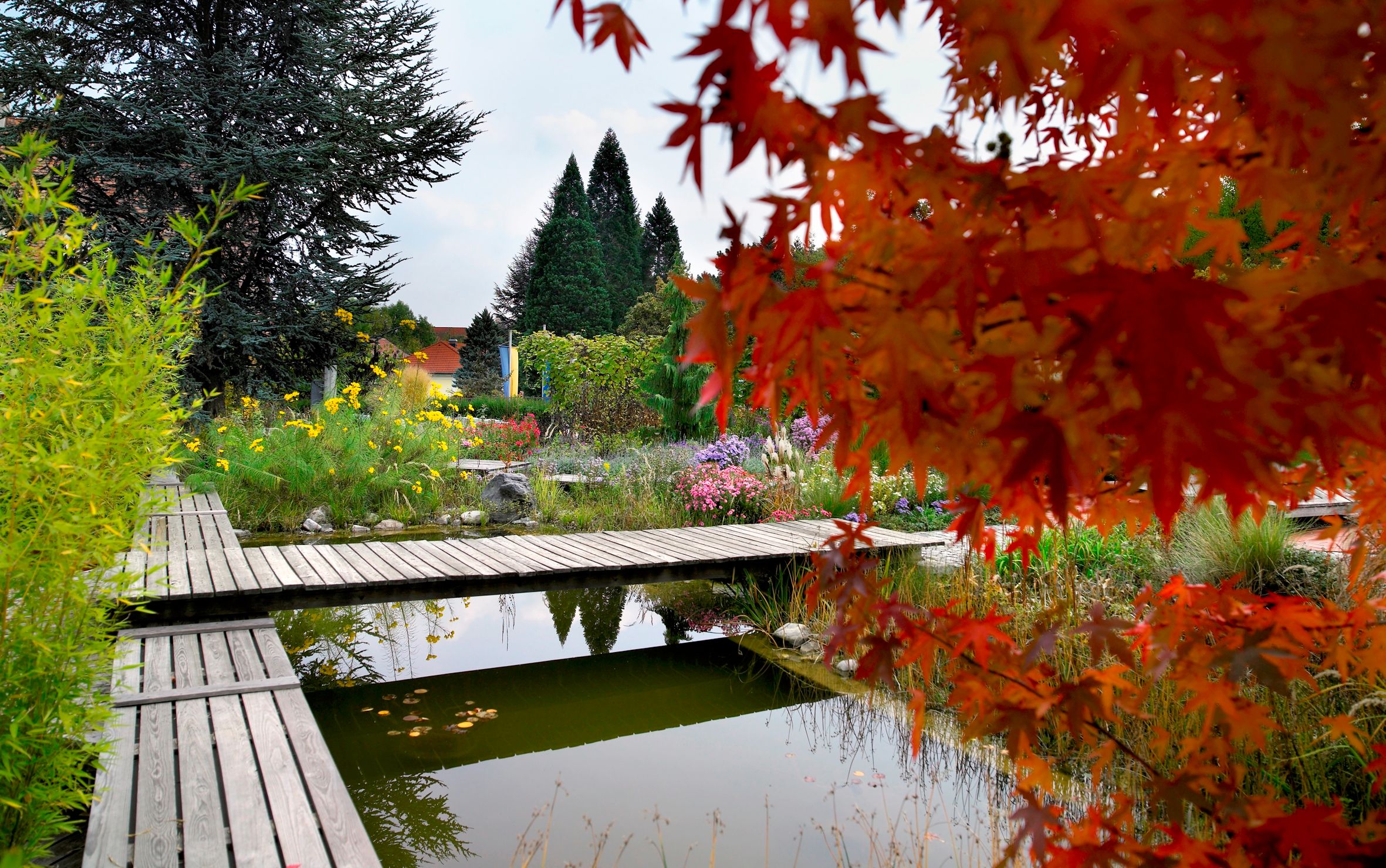 Ein Garten mit Holzstegen über einem Teich, umgeben von bunten Blumen und Bäumen im Herbstlaub.