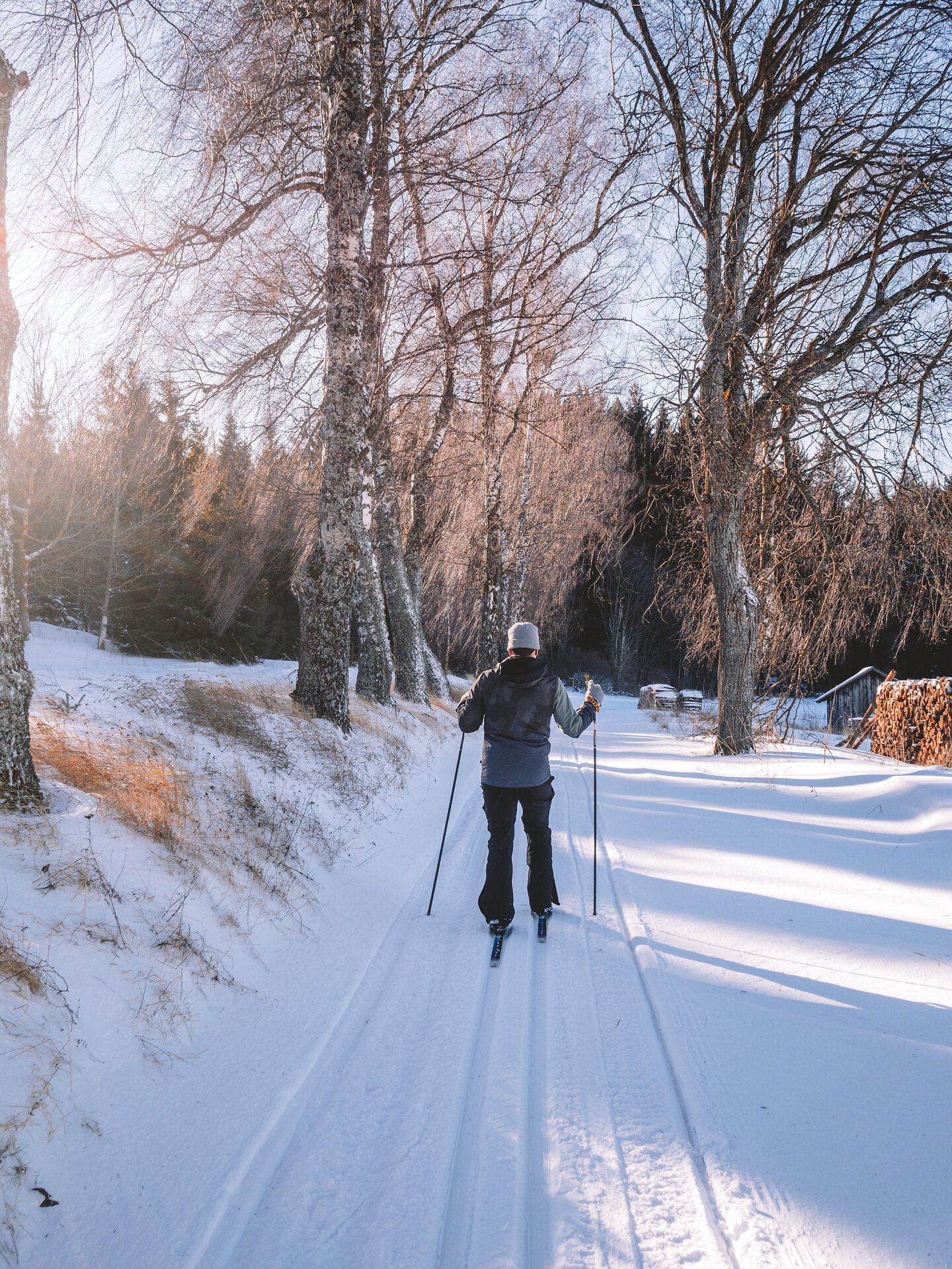 Die verschneiten Pfade laden zu einer erholsamen Langlauftour ein, während die Bäume sanft im Winterlicht schimmern. Die frische, klare Luft und die ruhige Umgebung schaffen eine perfekte Kulisse für Naturliebhaber und Sportbegeisterte.