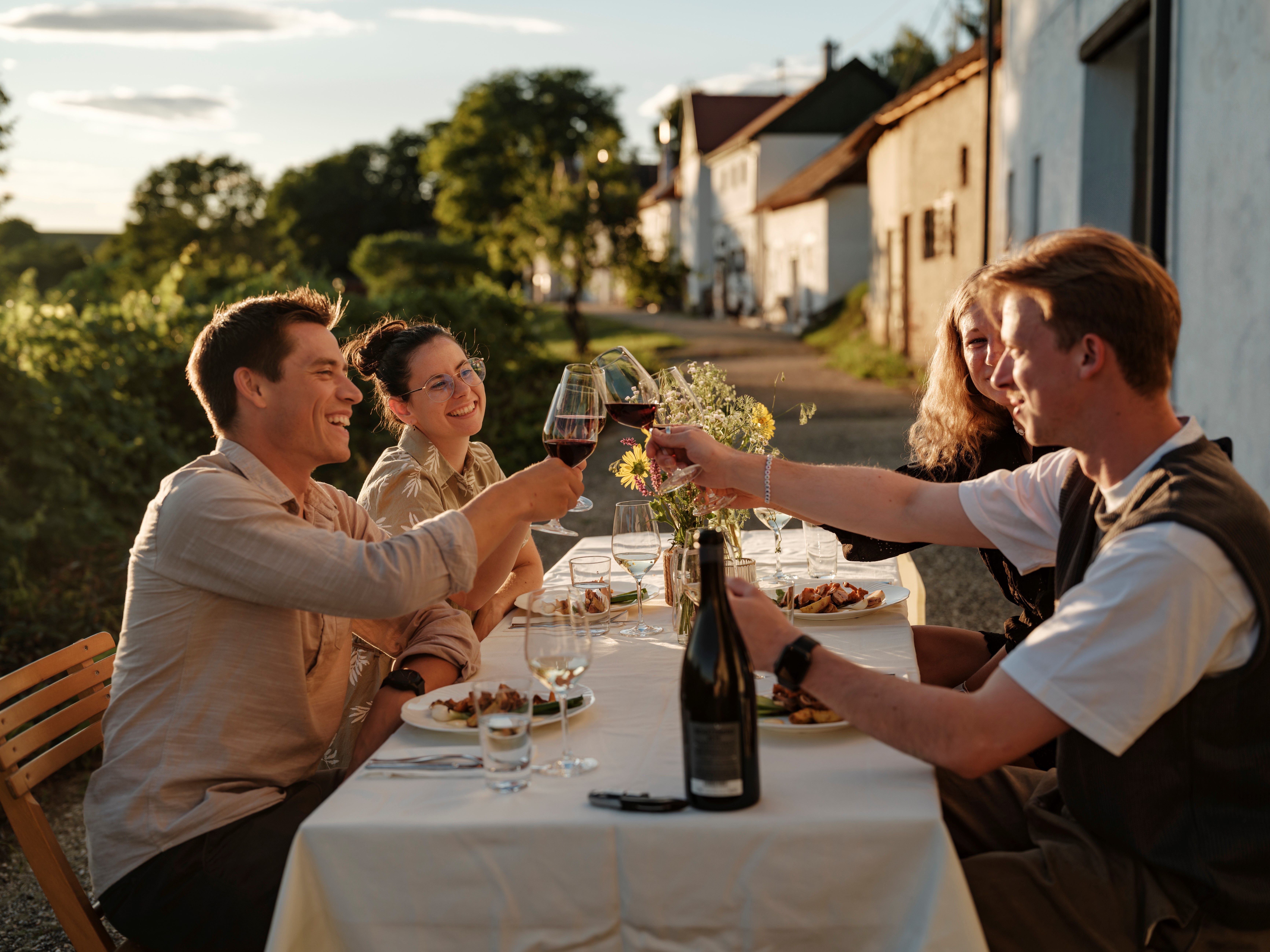 Gruppe von Menschen stößt bei einem Essen im Freien mit Weingläsern an.